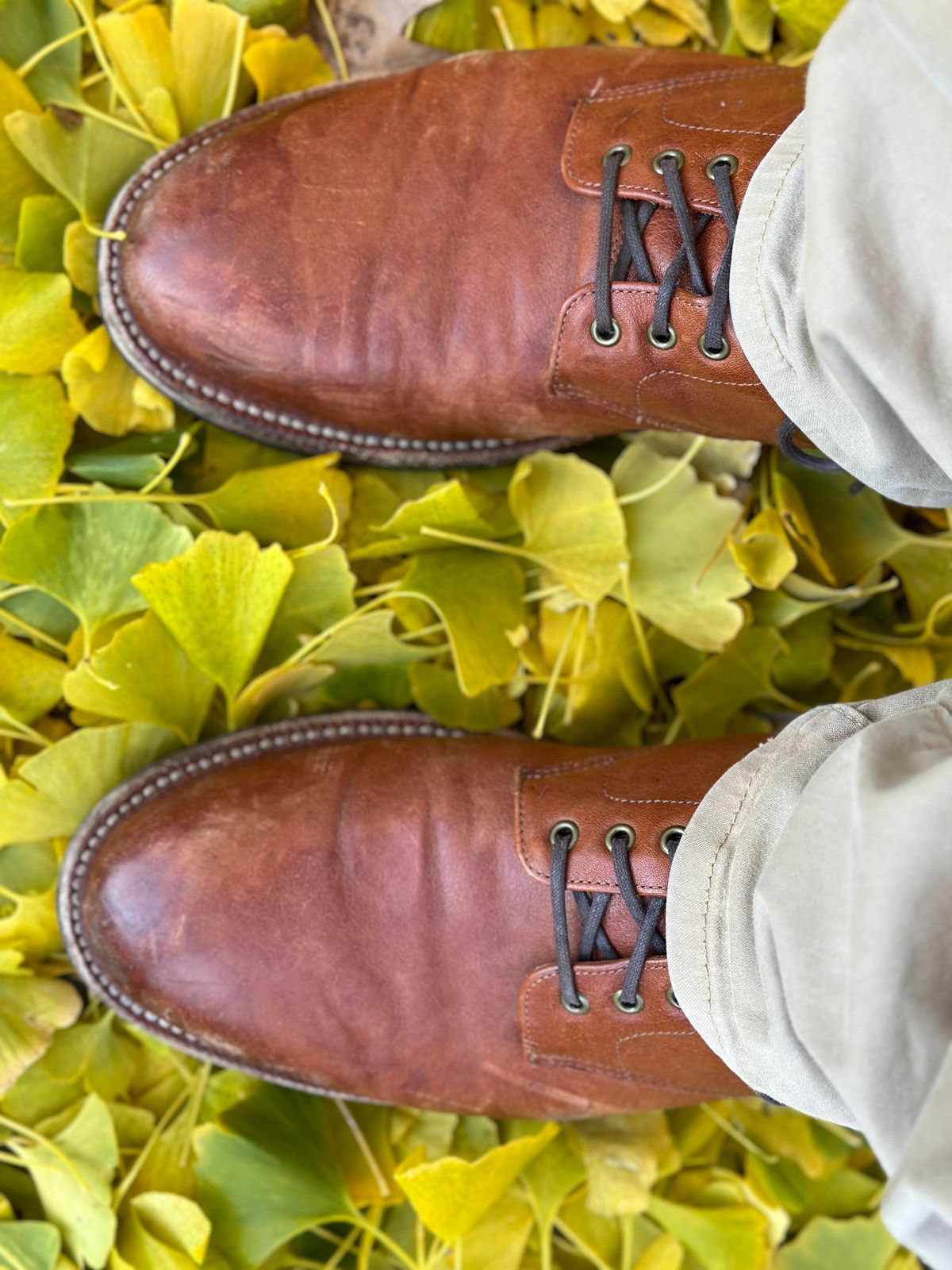 Photo by AGold on December 1, 2023 of the Grant Stone Edward Boot in Incas Rust Kangaroo.