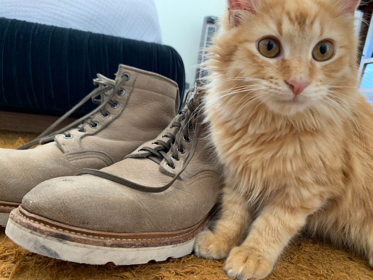 Photo by lonewolfpacman on March 5, 2024 of the Viberg Scout Boot in C.F. Stead Nomad Bokhara Nubuck.