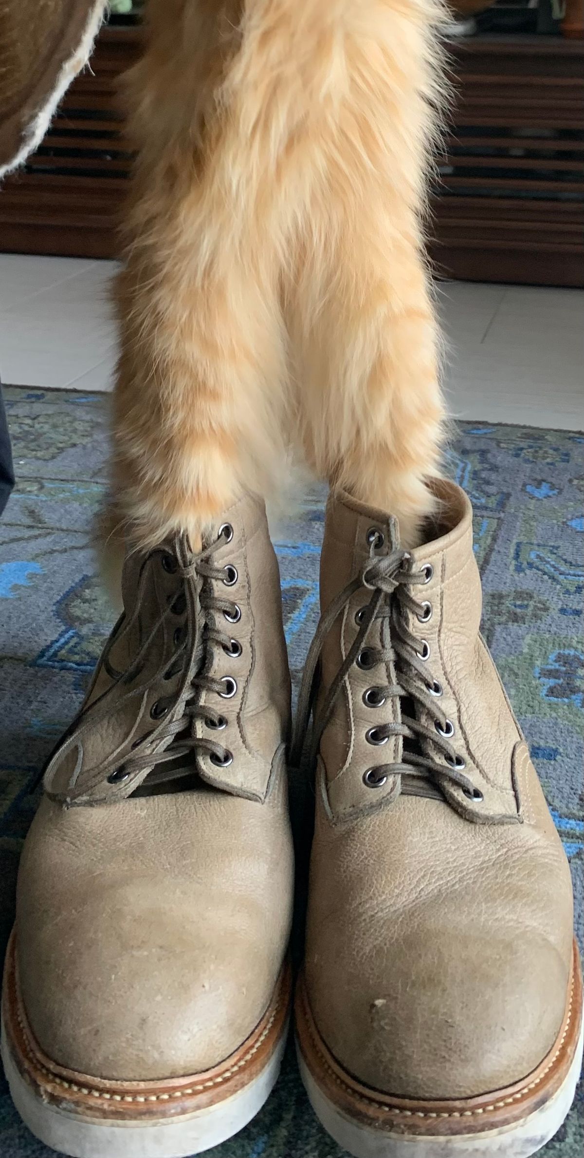 Photo by lonewolfpacman on April 2, 2024 of the Viberg Scout Boot in C.F. Stead Nomad Bokhara Nubuck.