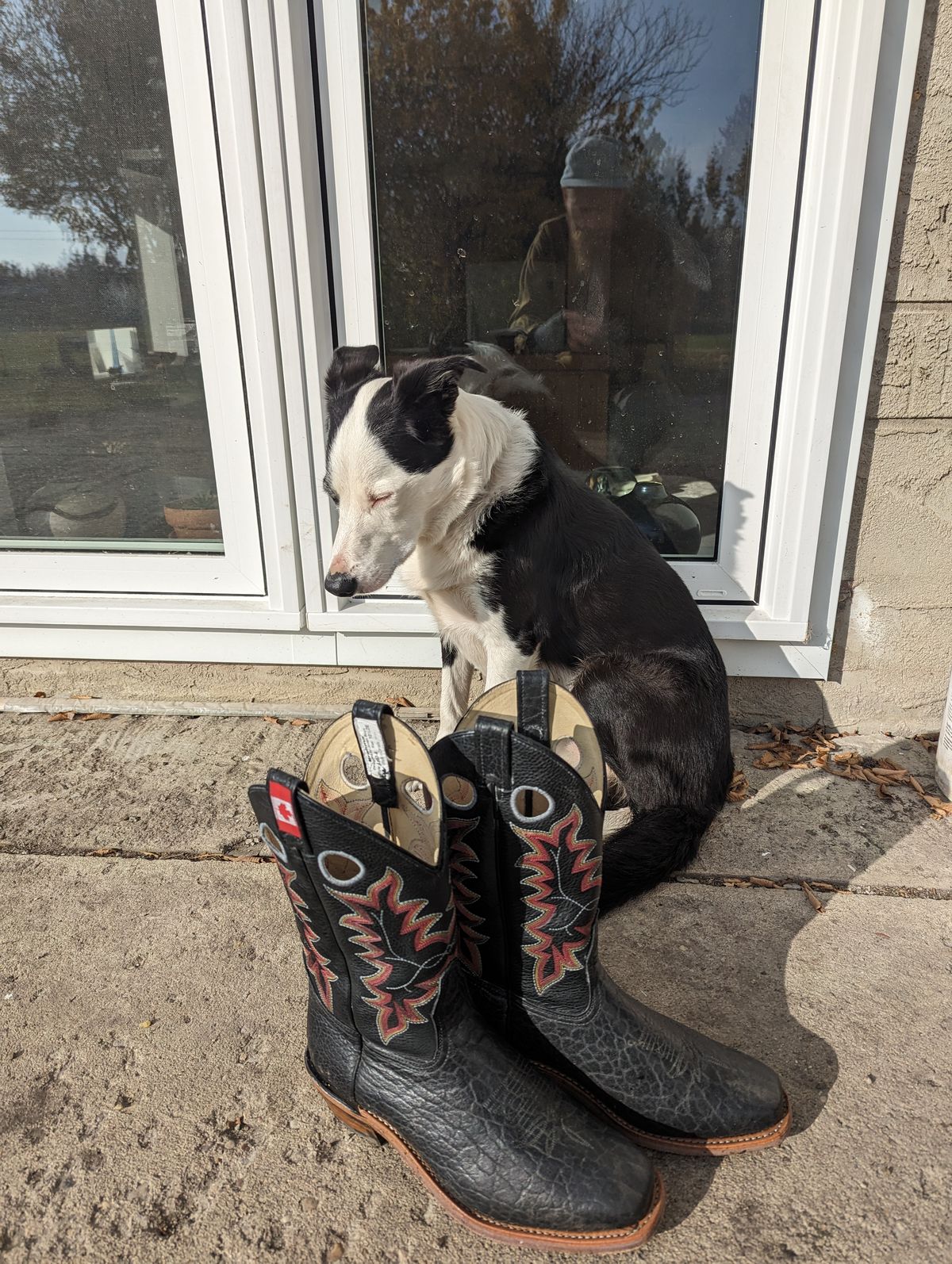 Photo by zangazanga on October 1, 2023 of the Canada West Boots Brahma 6563-6 in Unknown Leather.