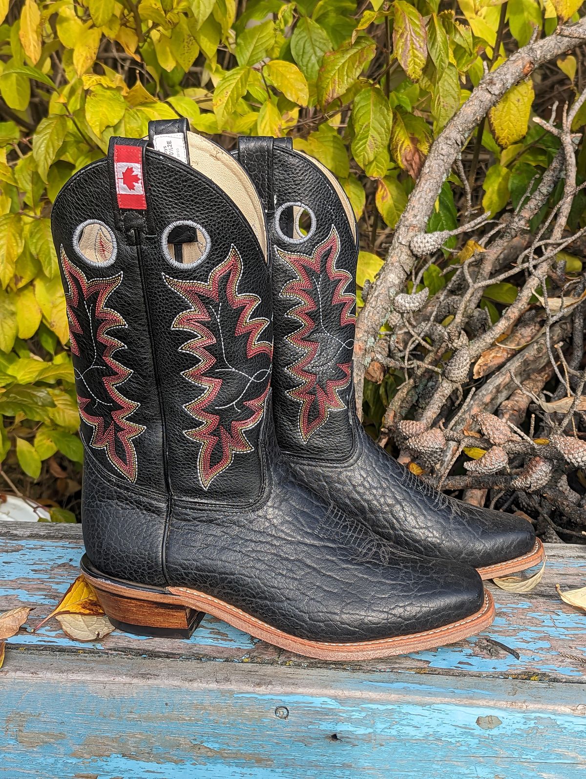 Photo by zangazanga on October 1, 2023 of the Canada West Boots Brahma 6563-6 in Unknown Leather.