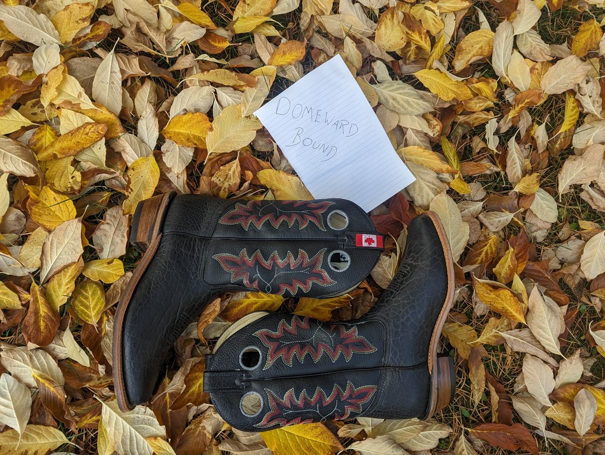 Photo by zangazanga on October 1, 2023 of the Canada West Boots Brahma 6563-6 in Unknown Leather.