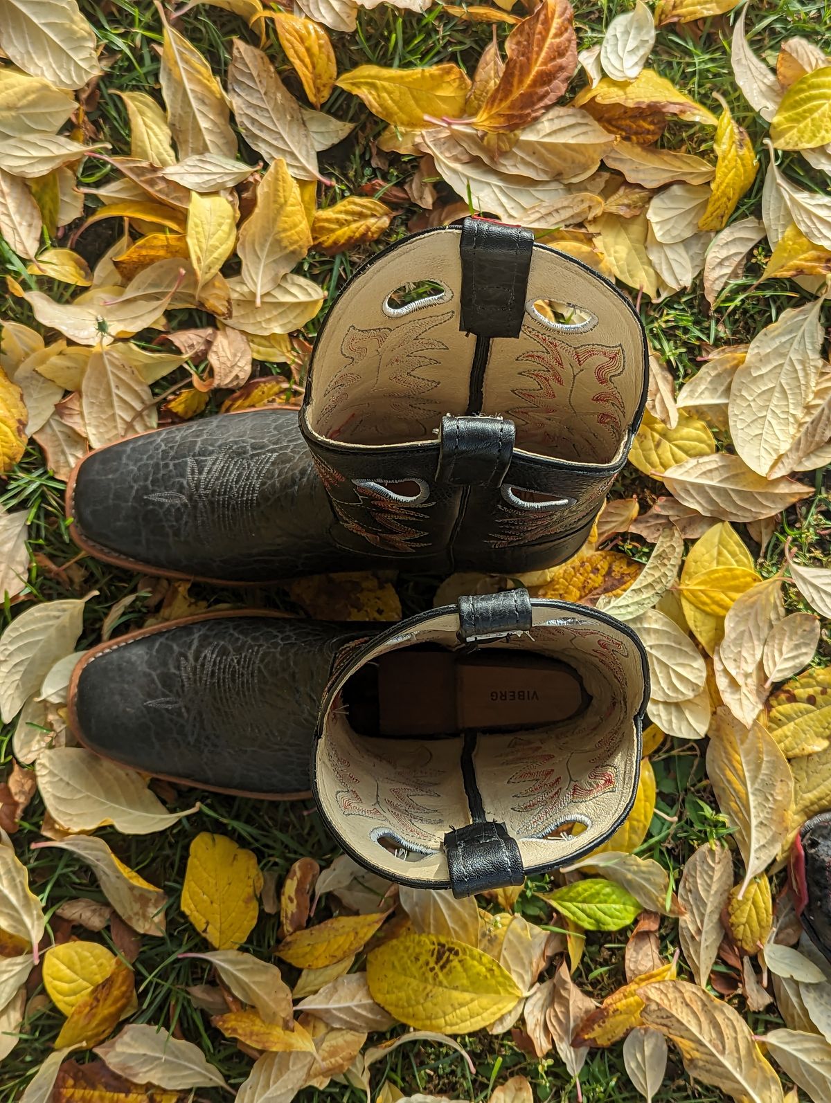 Photo by zangazanga on October 1, 2023 of the Canada West Boots Brahma 6563-6 in Unknown Leather.