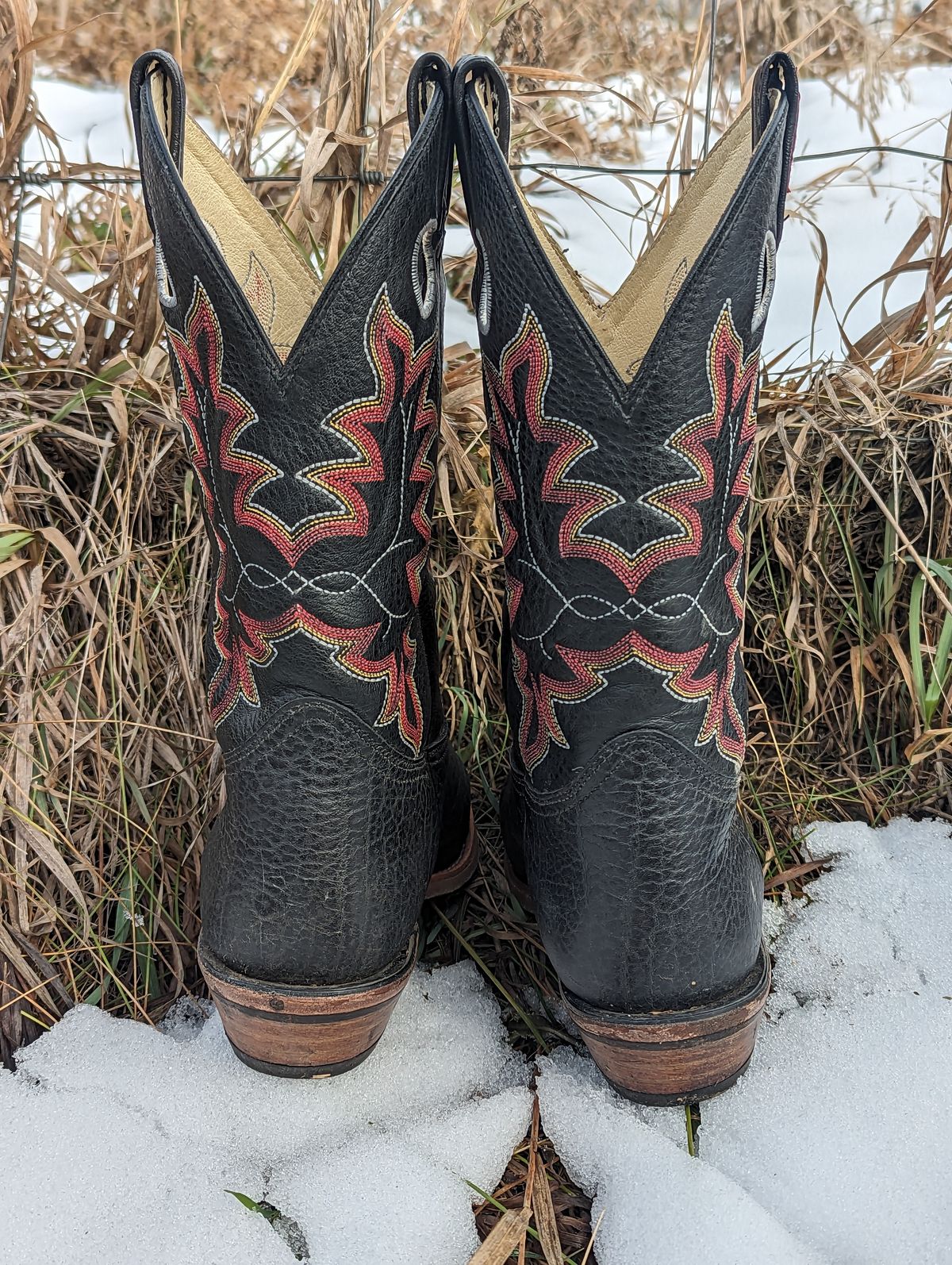 Photo by zangazanga on November 1, 2023 of the Canada West Boots Brahma 6563-6 in Unknown Leather.