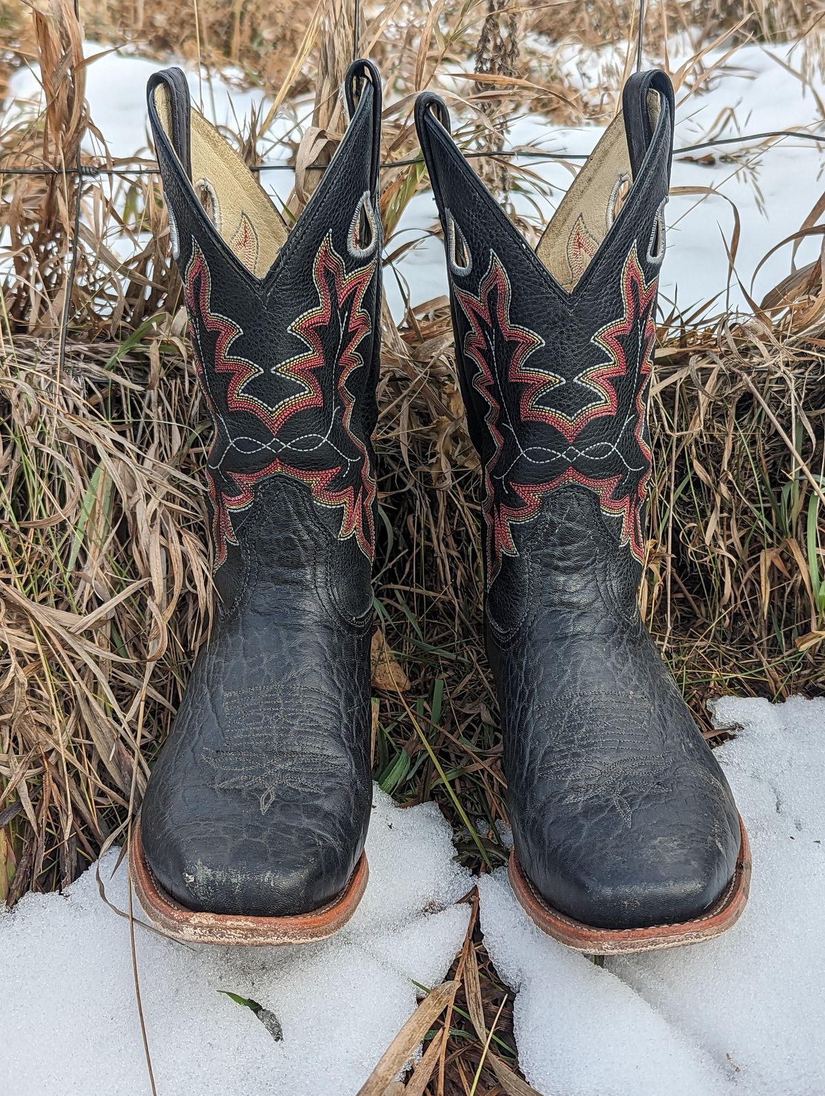 Photo by zangazanga on November 1, 2023 of the Canada West Boots Brahma 6563-6 in Unknown Leather.