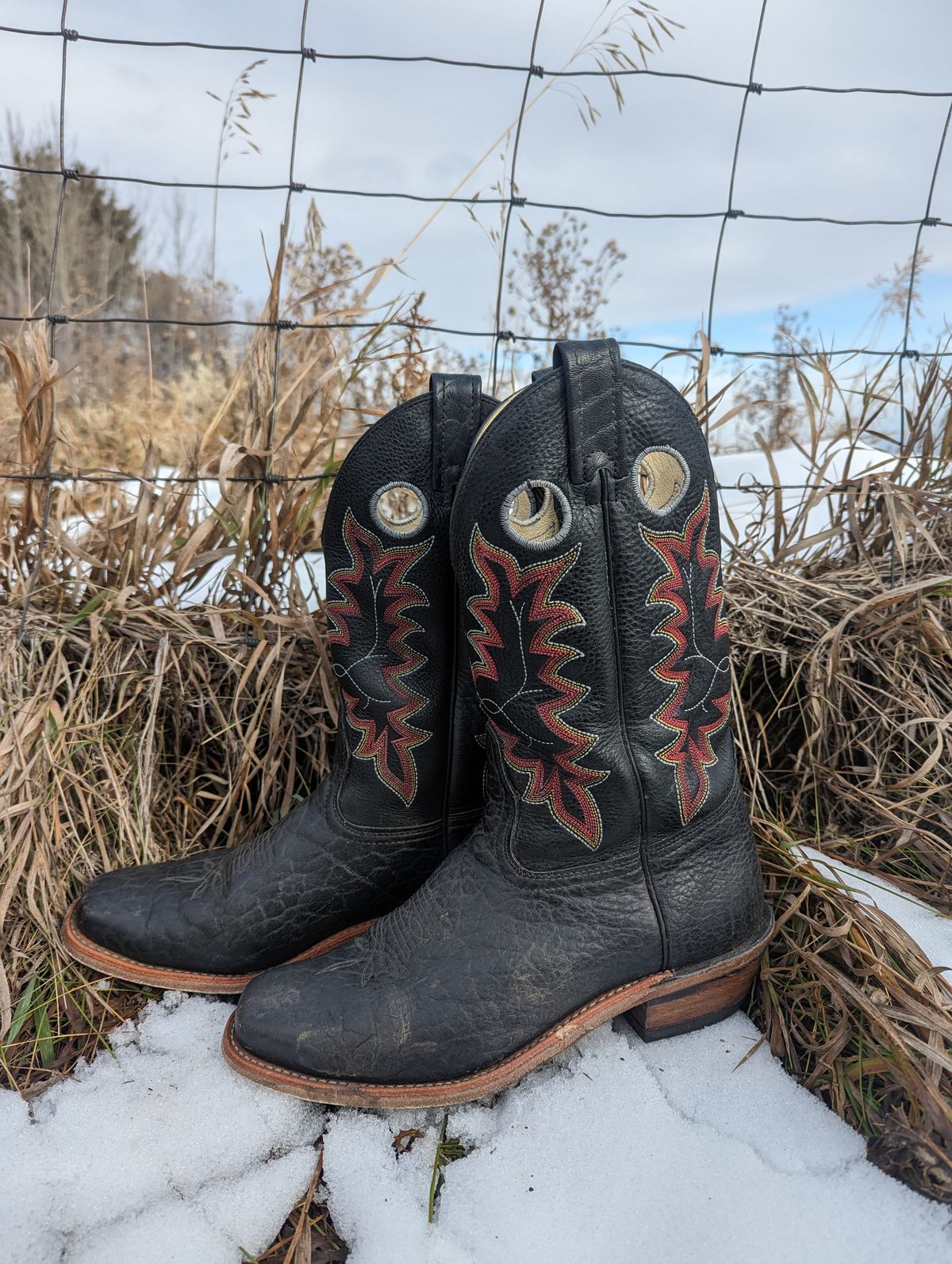 Photo by zangazanga on November 1, 2023 of the Canada West Boots Brahma 6563-6 in Unknown Leather.