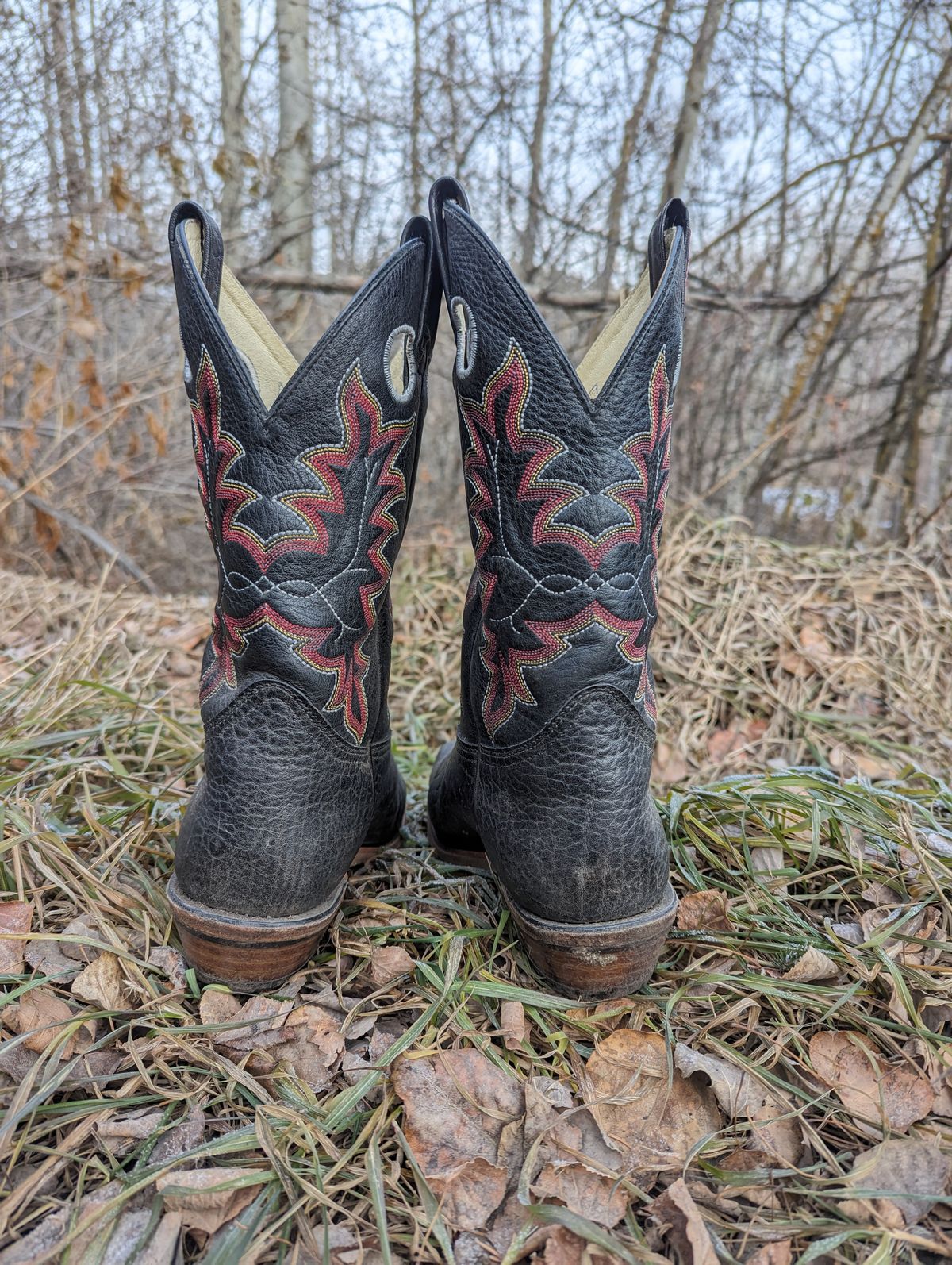Photo by zangazanga on December 1, 2023 of the Canada West Boots Brahma 6563-6 in Unknown Leather.