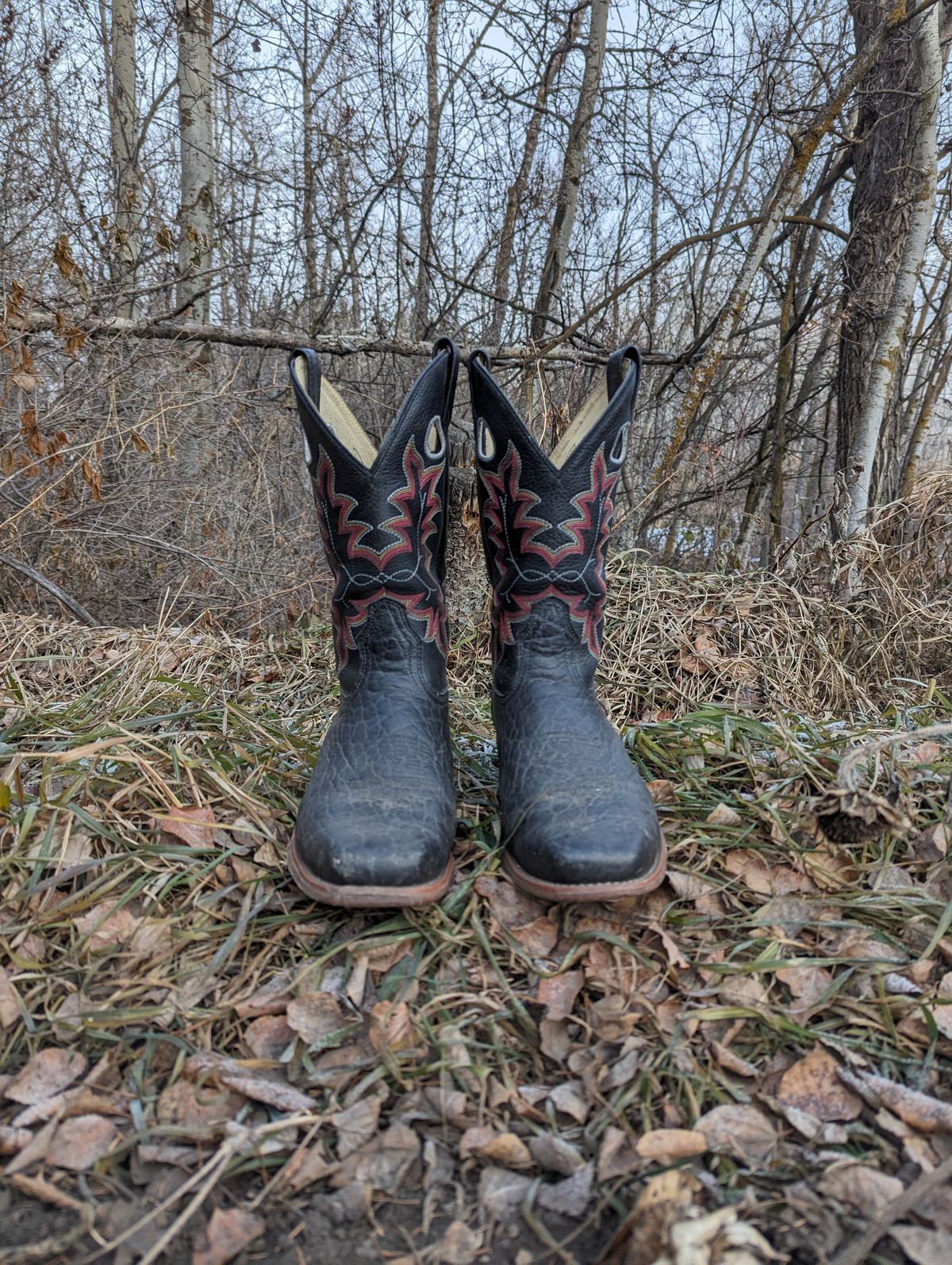 Photo by zangazanga on December 1, 2023 of the Canada West Boots Brahma 6563-6 in Unknown Leather.