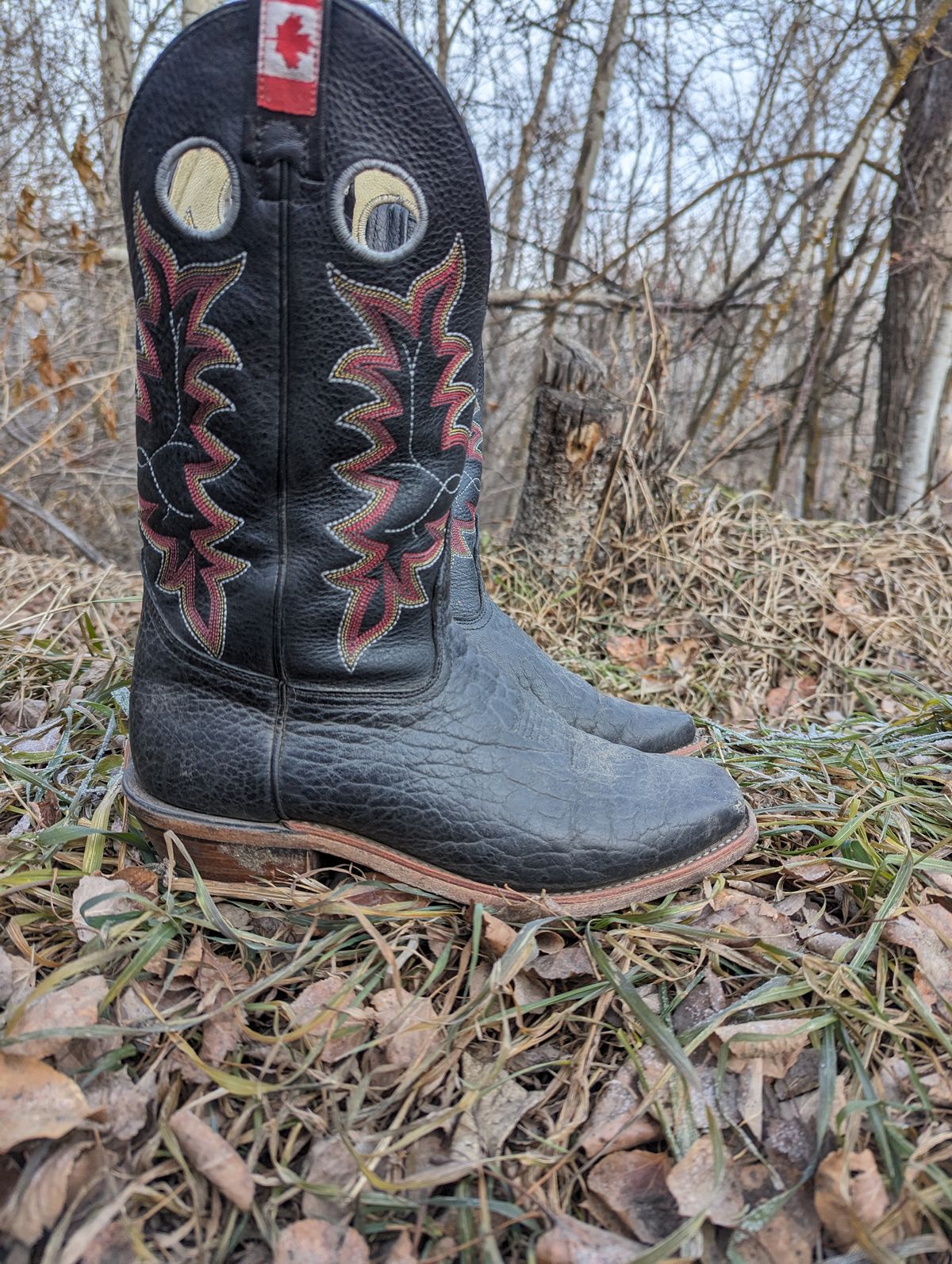Photo by zangazanga on December 1, 2023 of the Canada West Boots Brahma 6563-6 in Unknown Leather.