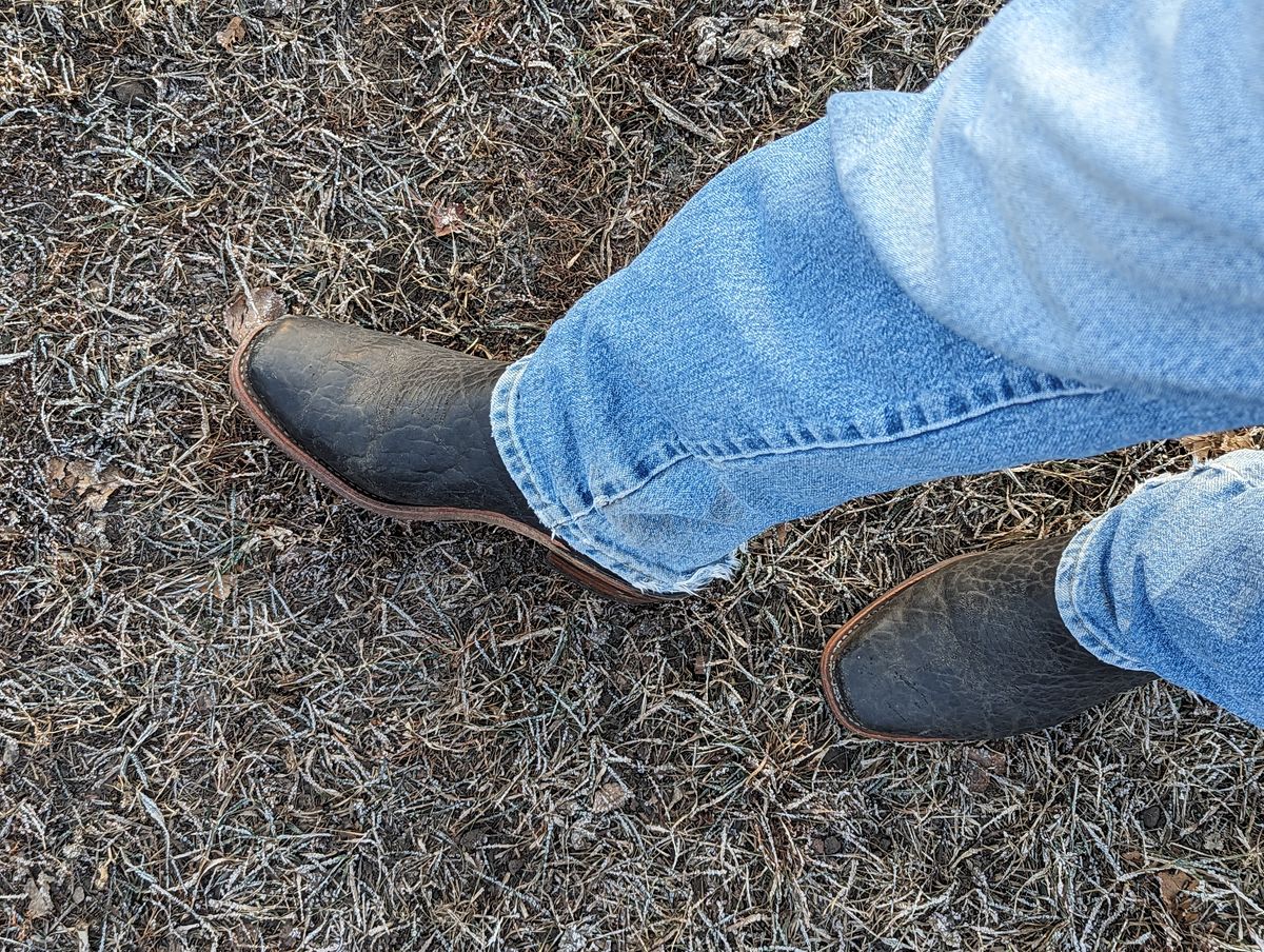 Photo by zangazanga on December 1, 2023 of the Canada West Boots Brahma 6563-6 in Unknown Leather.