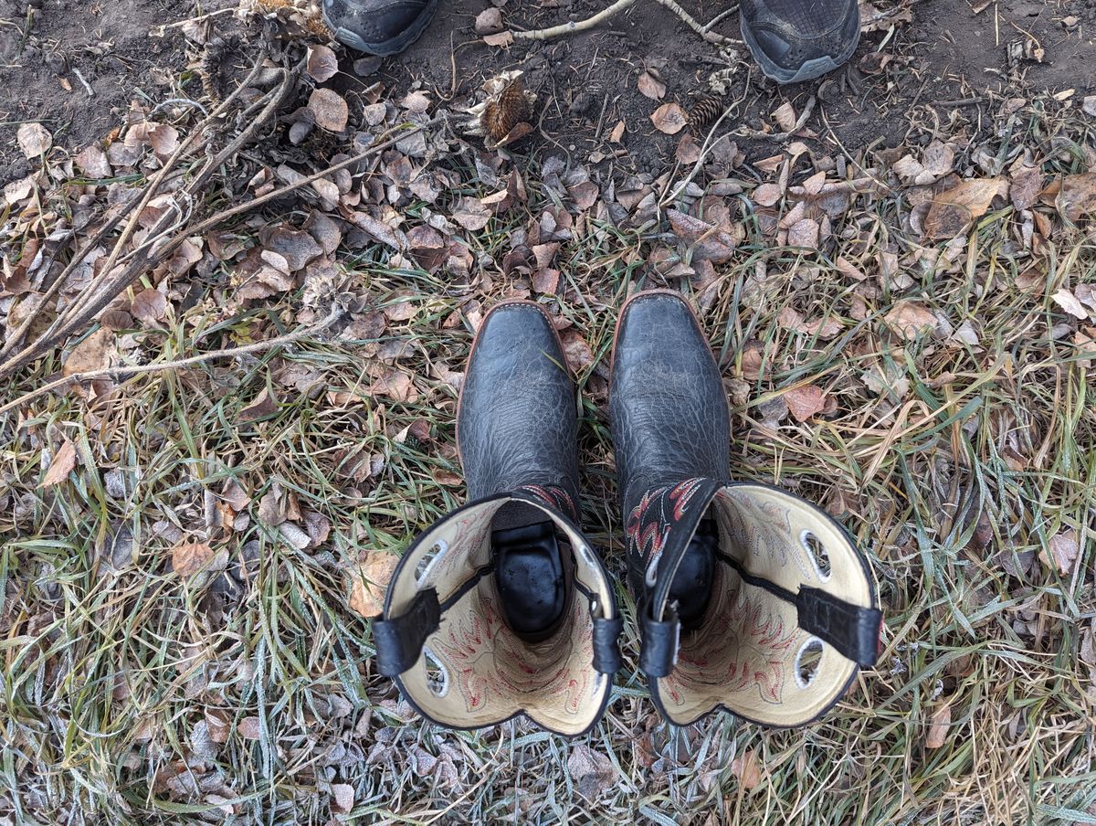 Photo by zangazanga on December 1, 2023 of the Canada West Boots Brahma 6563-6 in Unknown Leather.