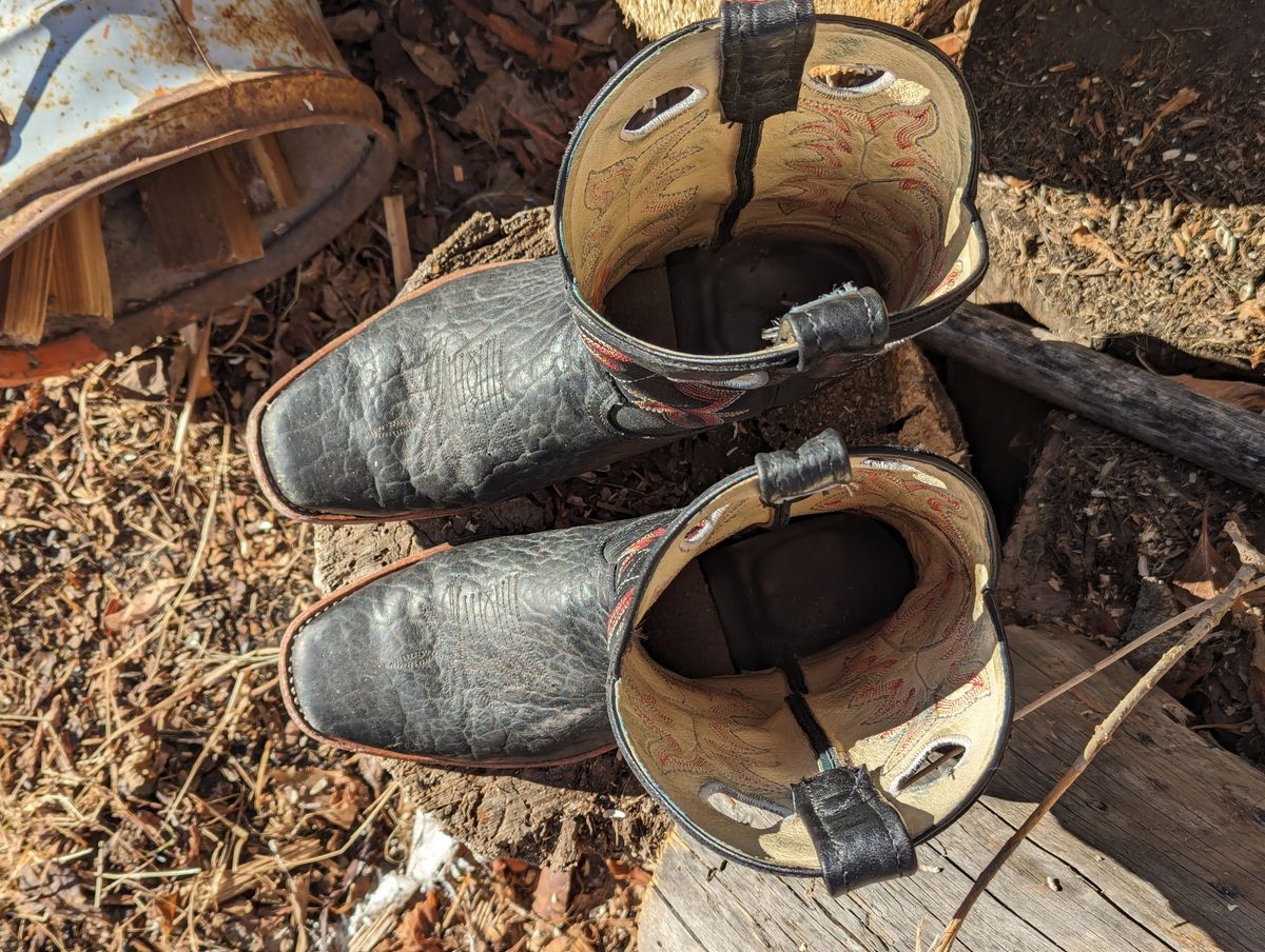 Photo by zangazanga on February 1, 2024 of the Canada West Boots Brahma 6563-6 in Unknown Leather.
