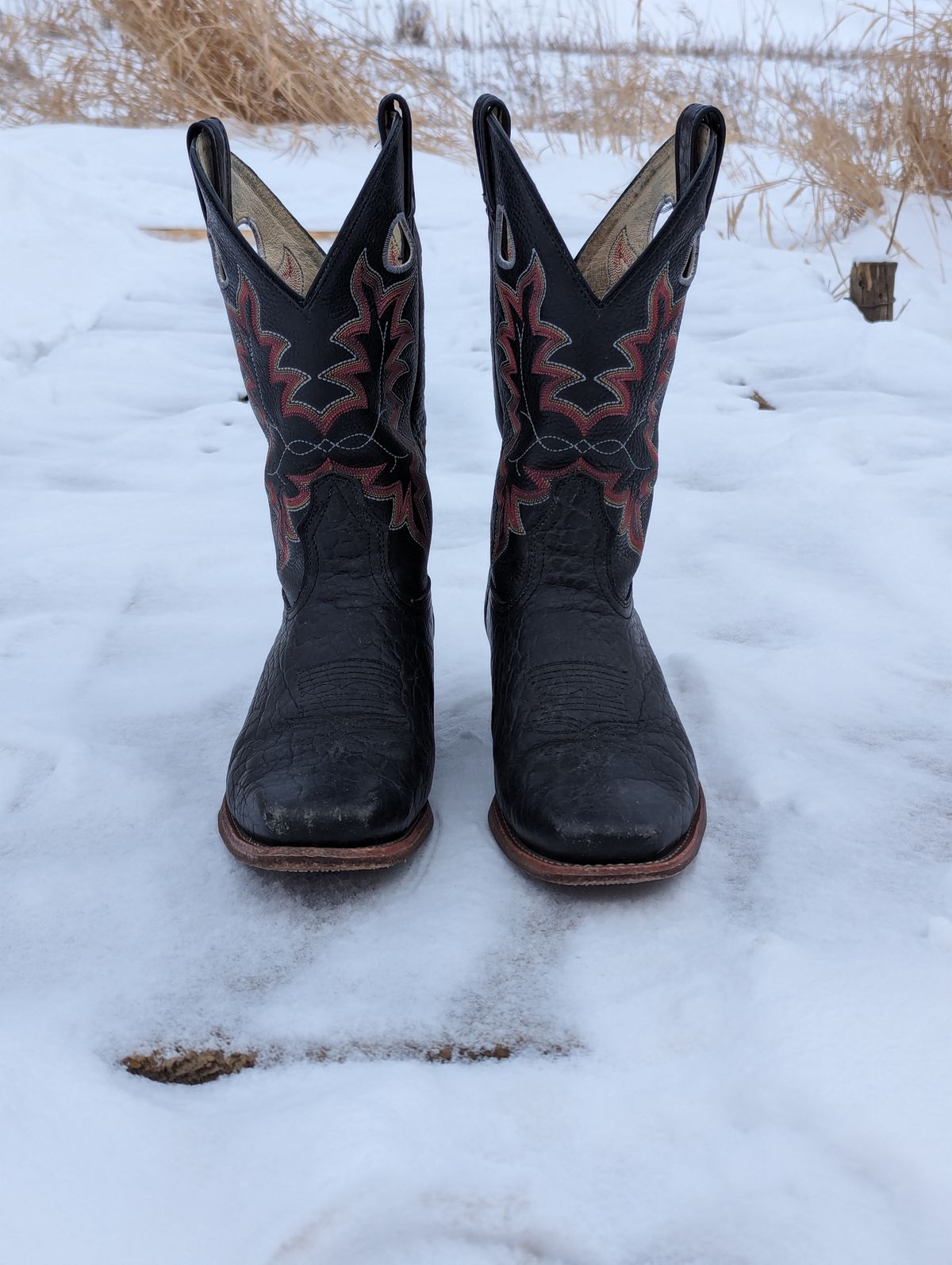 Photo by zangazanga on March 1, 2024 of the Canada West Boots Brahma 6563-6 in Unknown Leather.