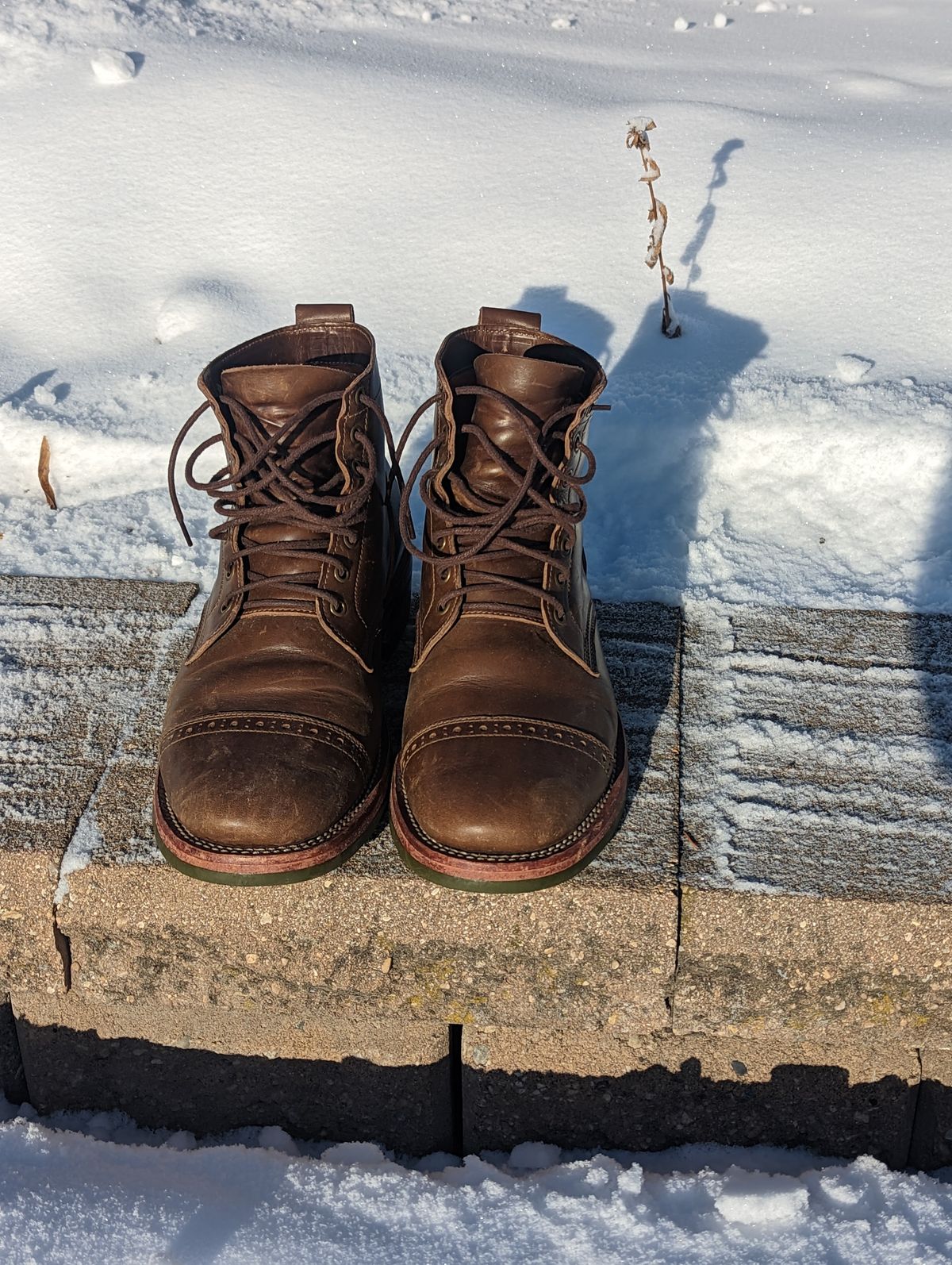 Photo by zangazanga on December 1, 2022 of the Jakkrabbits Service Boot in Horween Olive Chromexcel.