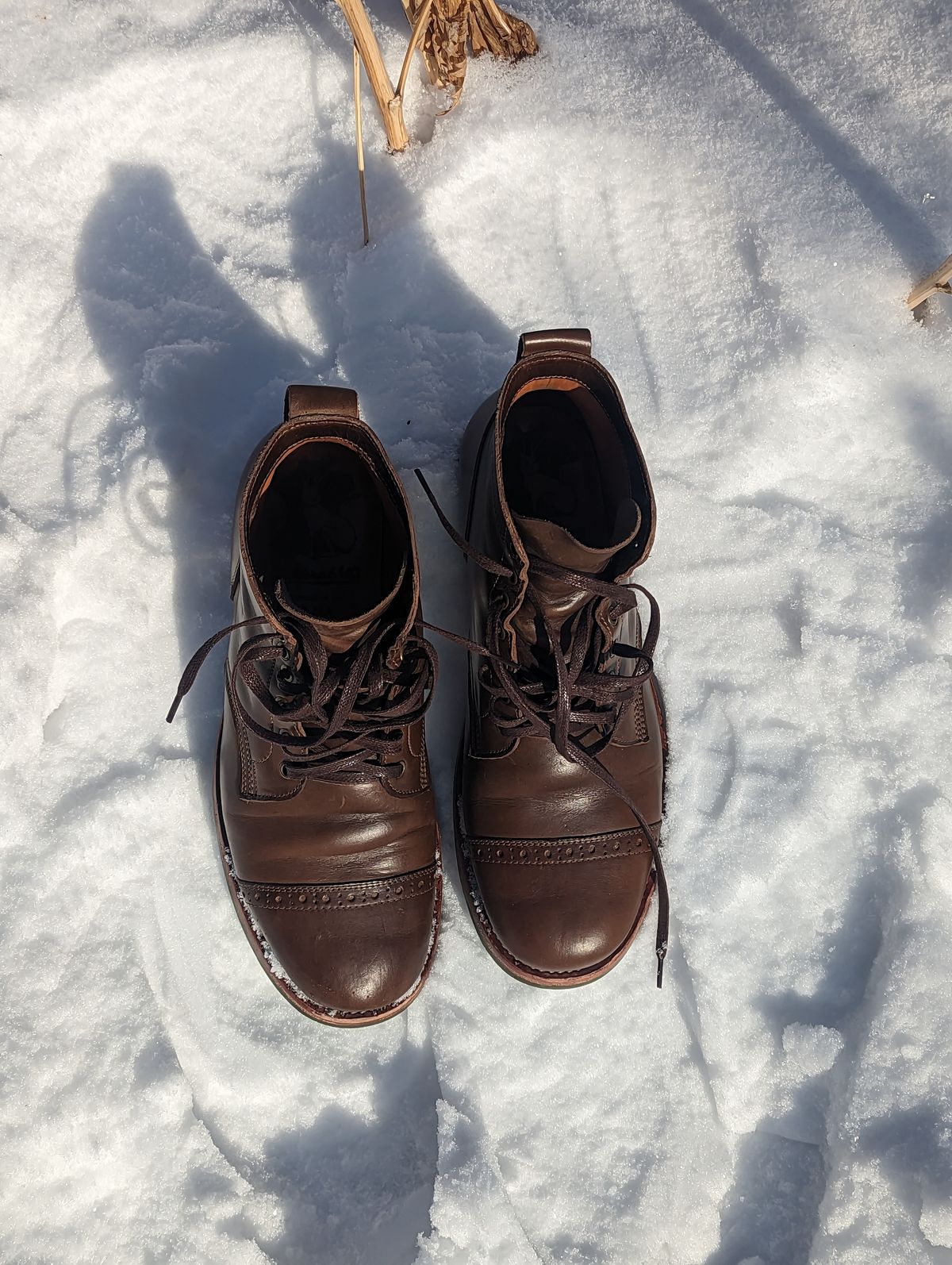 Photo by zangazanga on January 1, 2023 of the Jakkrabbits Service Boot in Horween Olive Chromexcel.