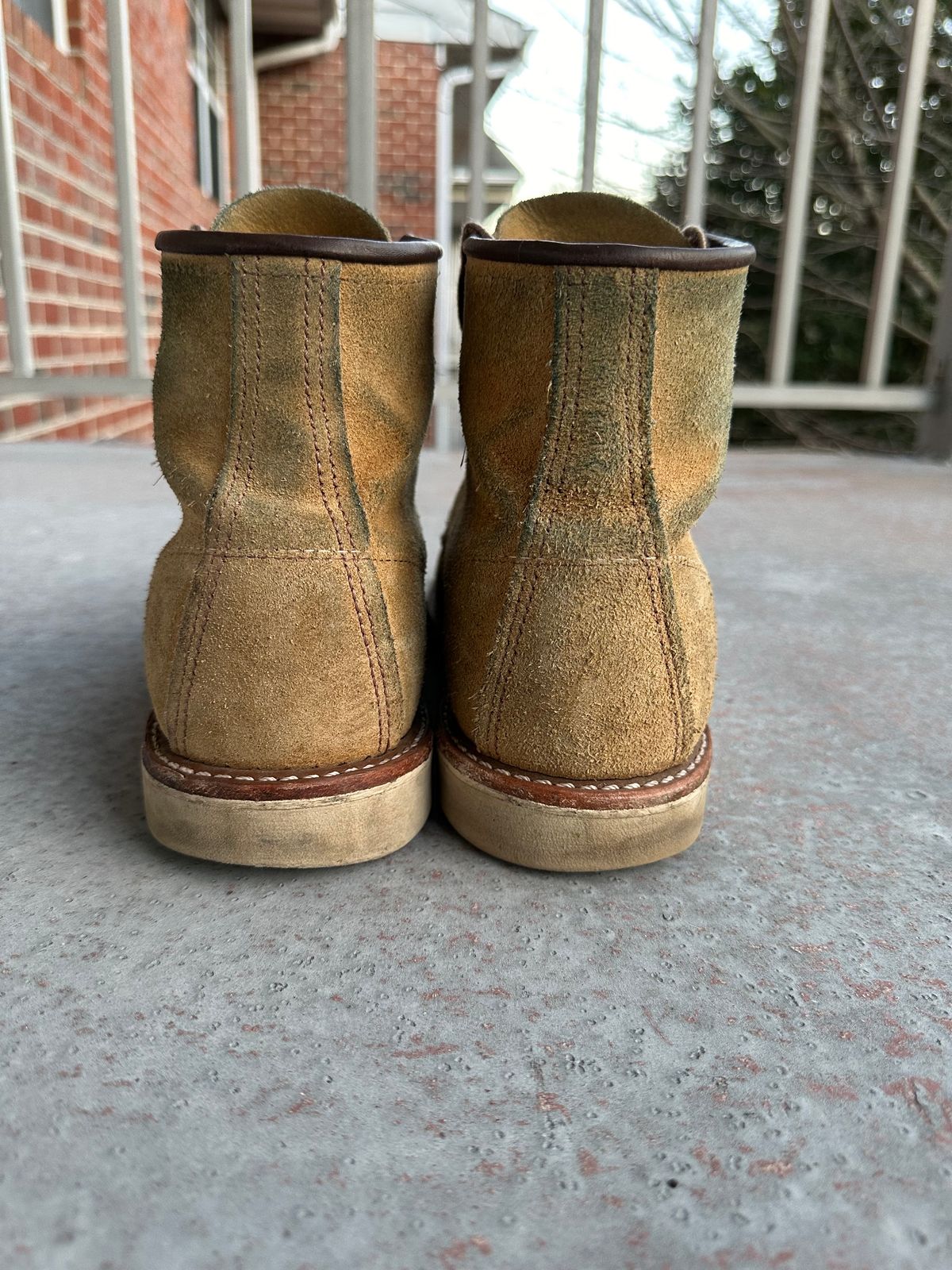 Photo by tmcginness on February 5, 2024 of the Red Wing 6-Inch Classic Moc in S.B. Foot Hawthorne Abilene.