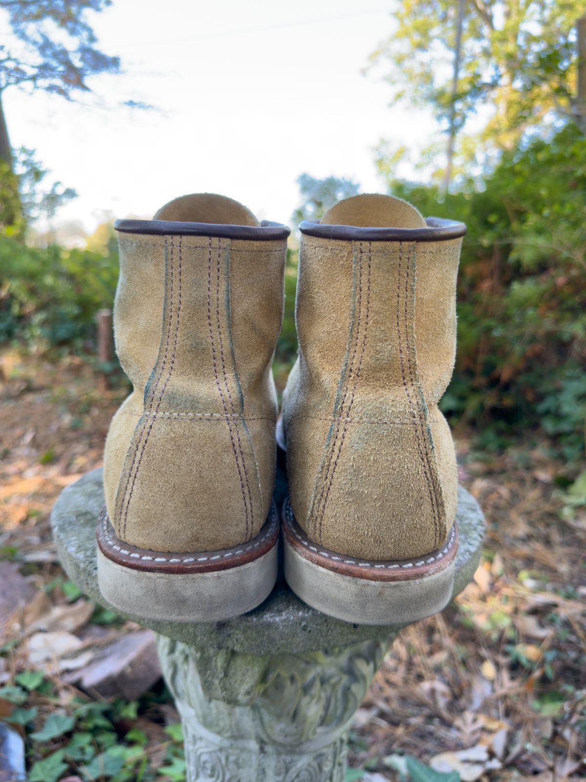 Photo by tmcginness on November 6, 2023 of the Red Wing 6-Inch Classic Moc in S.B. Foot Hawthorne Abilene.