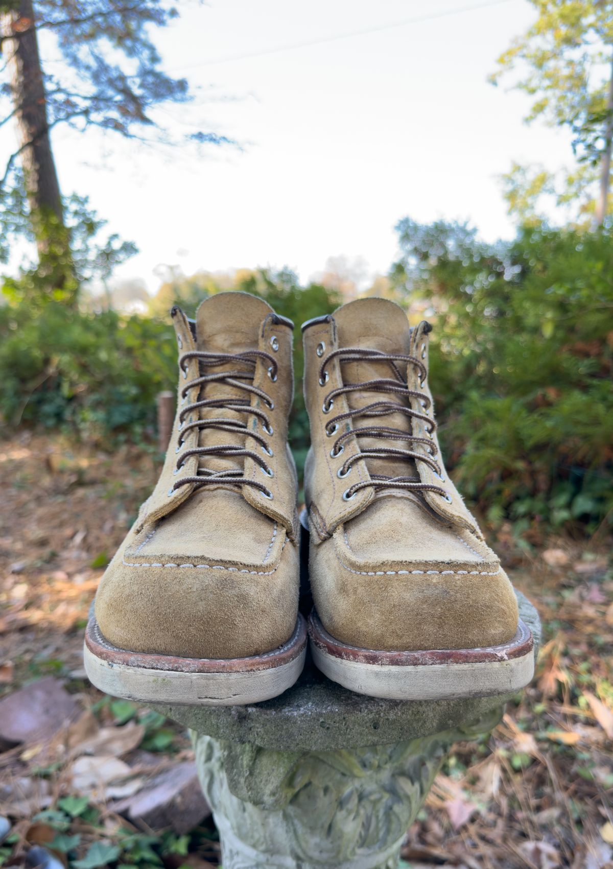 Photo by tmcginness on November 6, 2023 of the Red Wing 6-Inch Classic Moc in S.B. Foot Hawthorne Abilene.