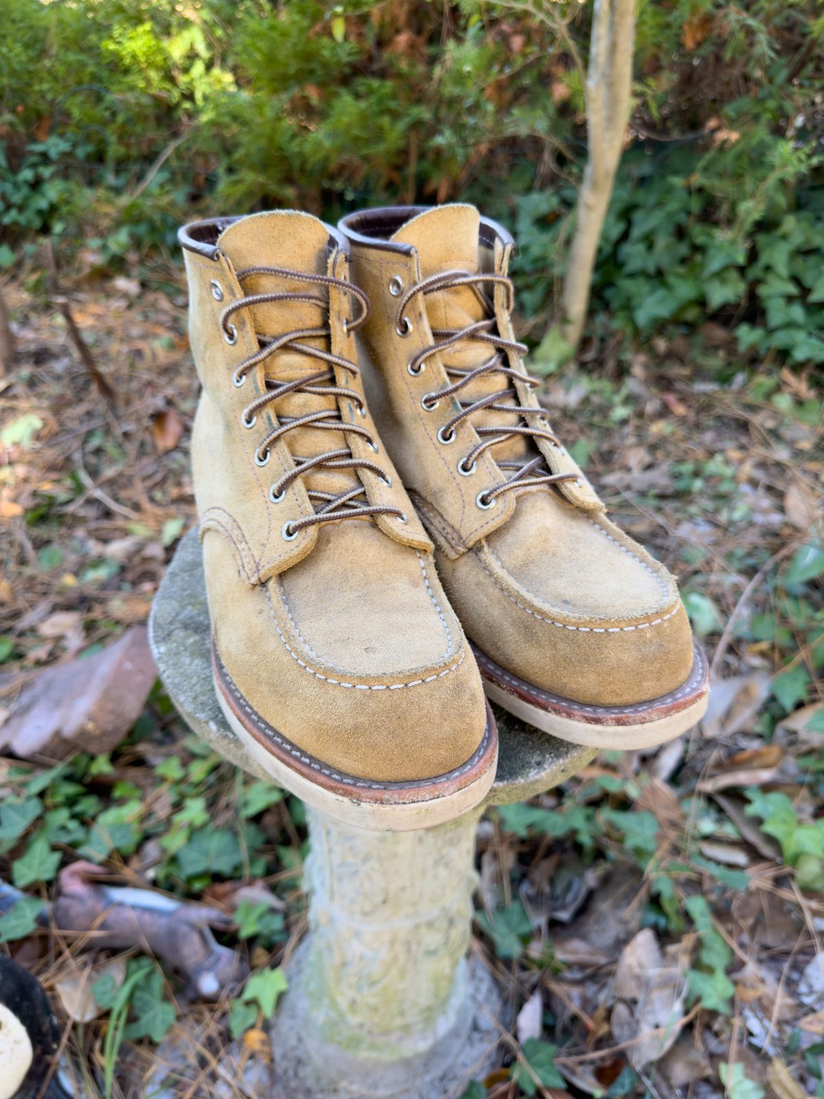 Photo by tmcginness on November 6, 2023 of the Red Wing 6-Inch Classic Moc in S.B. Foot Hawthorne Abilene.