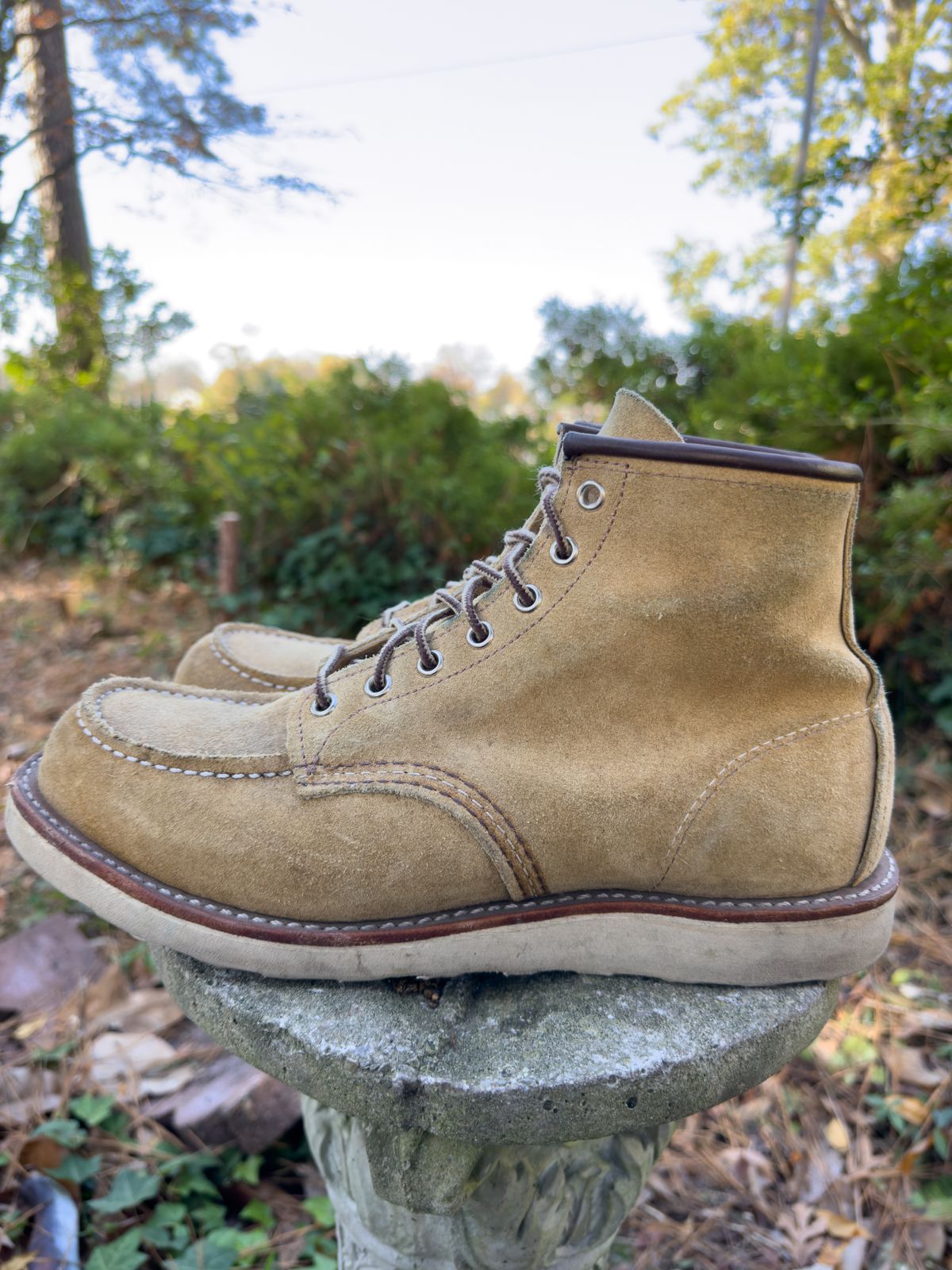 Photo by tmcginness on November 6, 2023 of the Red Wing 6-Inch Classic Moc in S.B. Foot Hawthorne Abilene.