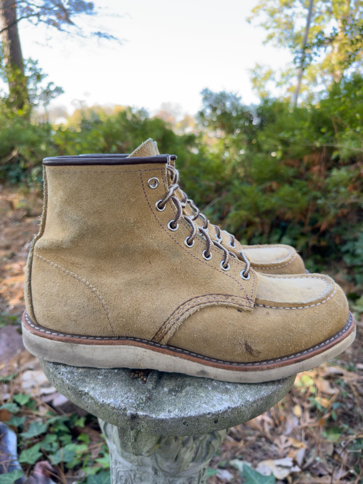 Photo by tmcginness on November 6, 2023 of the Red Wing 6-Inch Classic Moc in S.B. Foot Hawthorne Abilene.