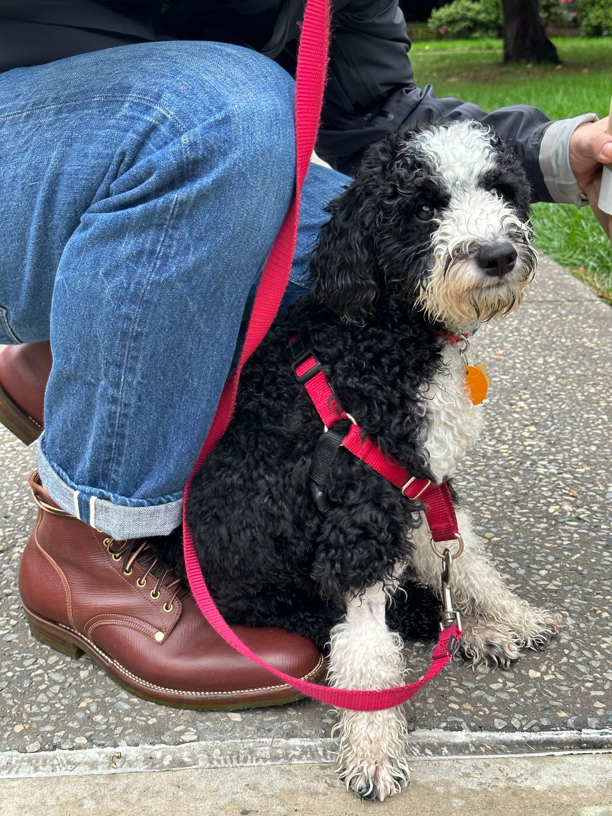 Photo by kosta on October 1, 2022 of the NF Bootmaker Milton Boot in J&FJ Baker Brown Russian Calf.