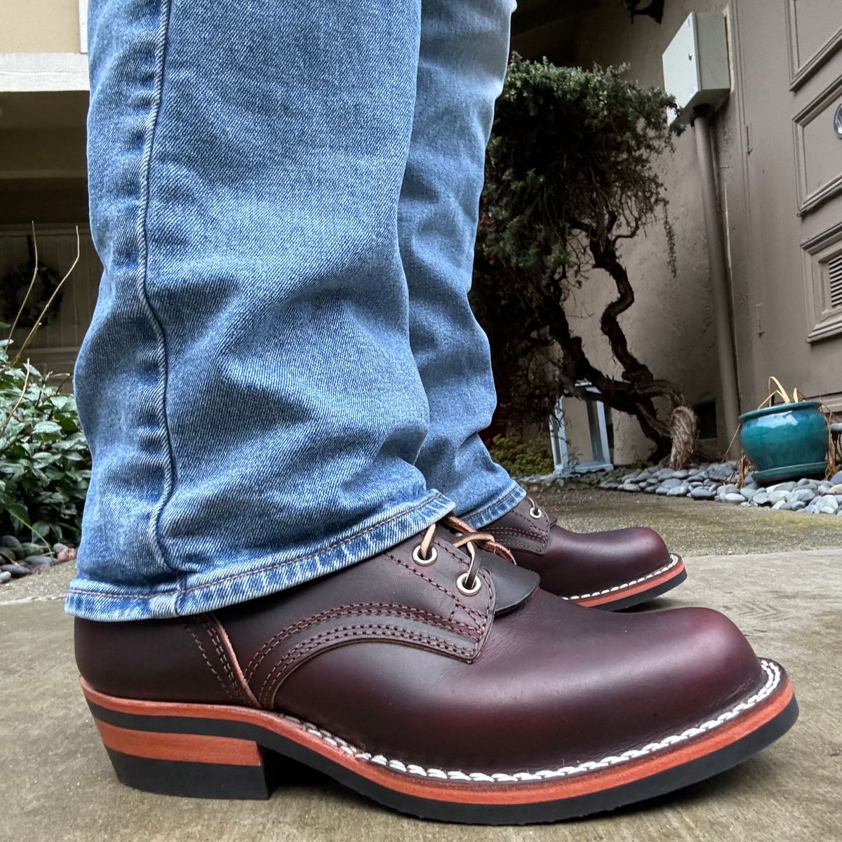 Photo by punkassjim on December 21, 2023 of the Nicks MTO in Wickett & Craig Burgundy Double Stuffed.
