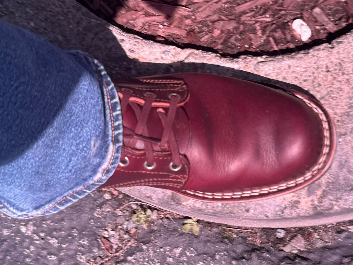 Photo by punkassjim on April 5, 2024 of the Nicks MTO in Wickett & Craig Burgundy Double Stuffed.