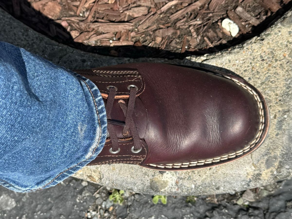 Photo by punkassjim on April 5, 2024 of the Nicks MTO in Wickett & Craig Burgundy Double Stuffed.