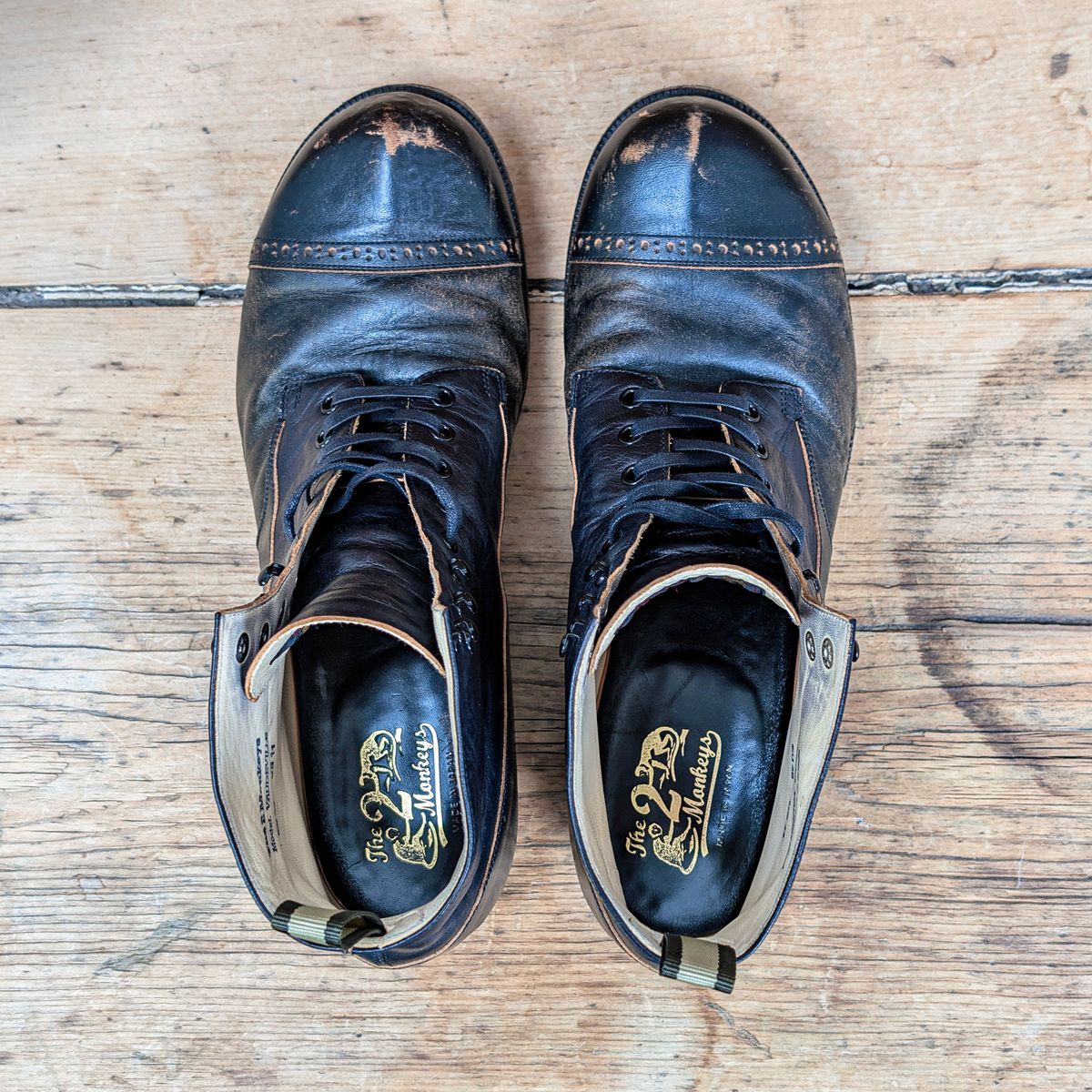 Photo by itsnotbriatall on December 5, 2025 of the The 2 Monkeys Vaudeville "Black Colts" in Horsehide.