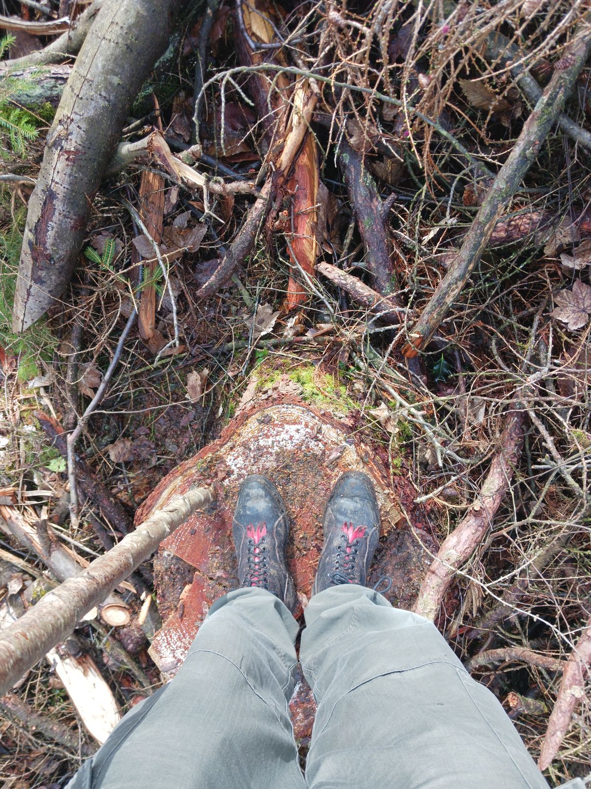 Photo by TheBeginnerBootMaker on March 3, 2024 of the Skin Stitches MK 1 in Horween Black Waxed Flesh.