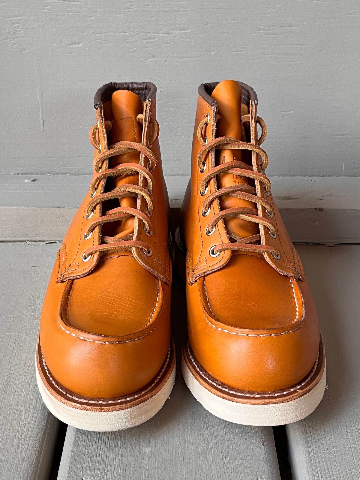 Photo by steverinde on October 7, 2023 of the Red Wing 6-Inch Classic Moc in S.B. Foot Sequoia Gold Russet.