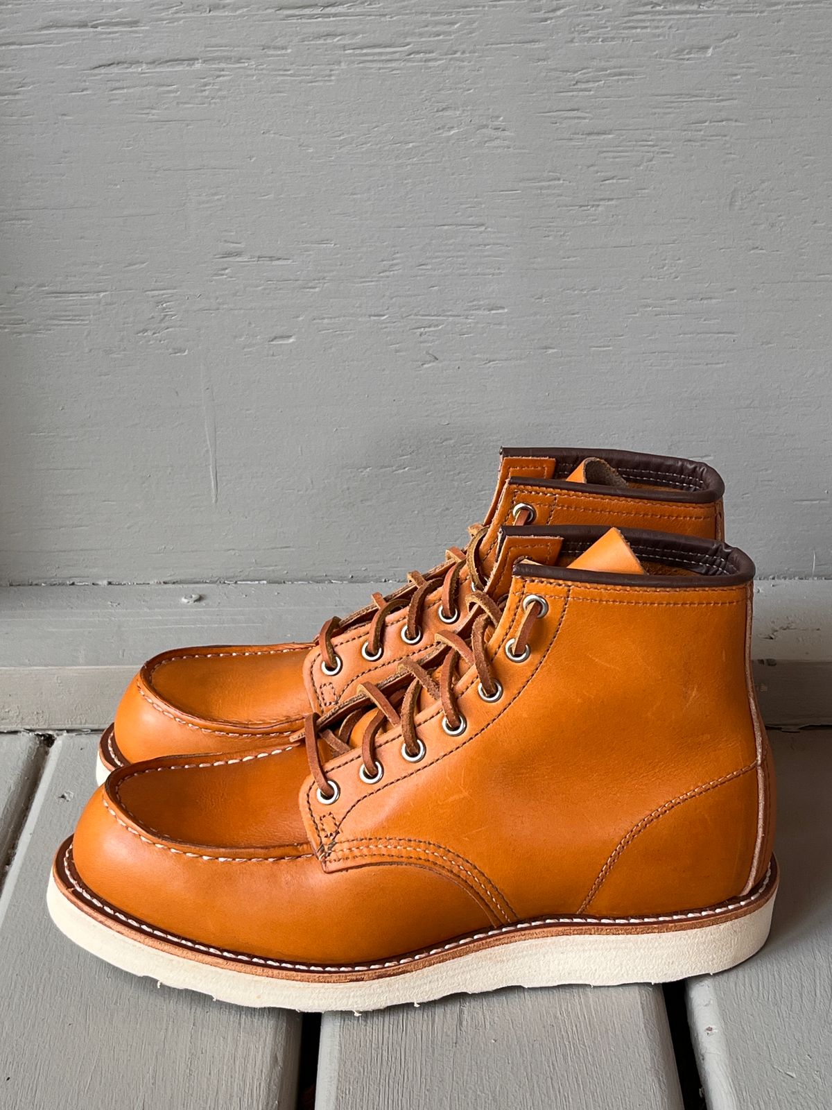 Photo by steverinde on October 7, 2023 of the Red Wing 6-Inch Classic Moc in S.B. Foot Sequoia Gold Russet.