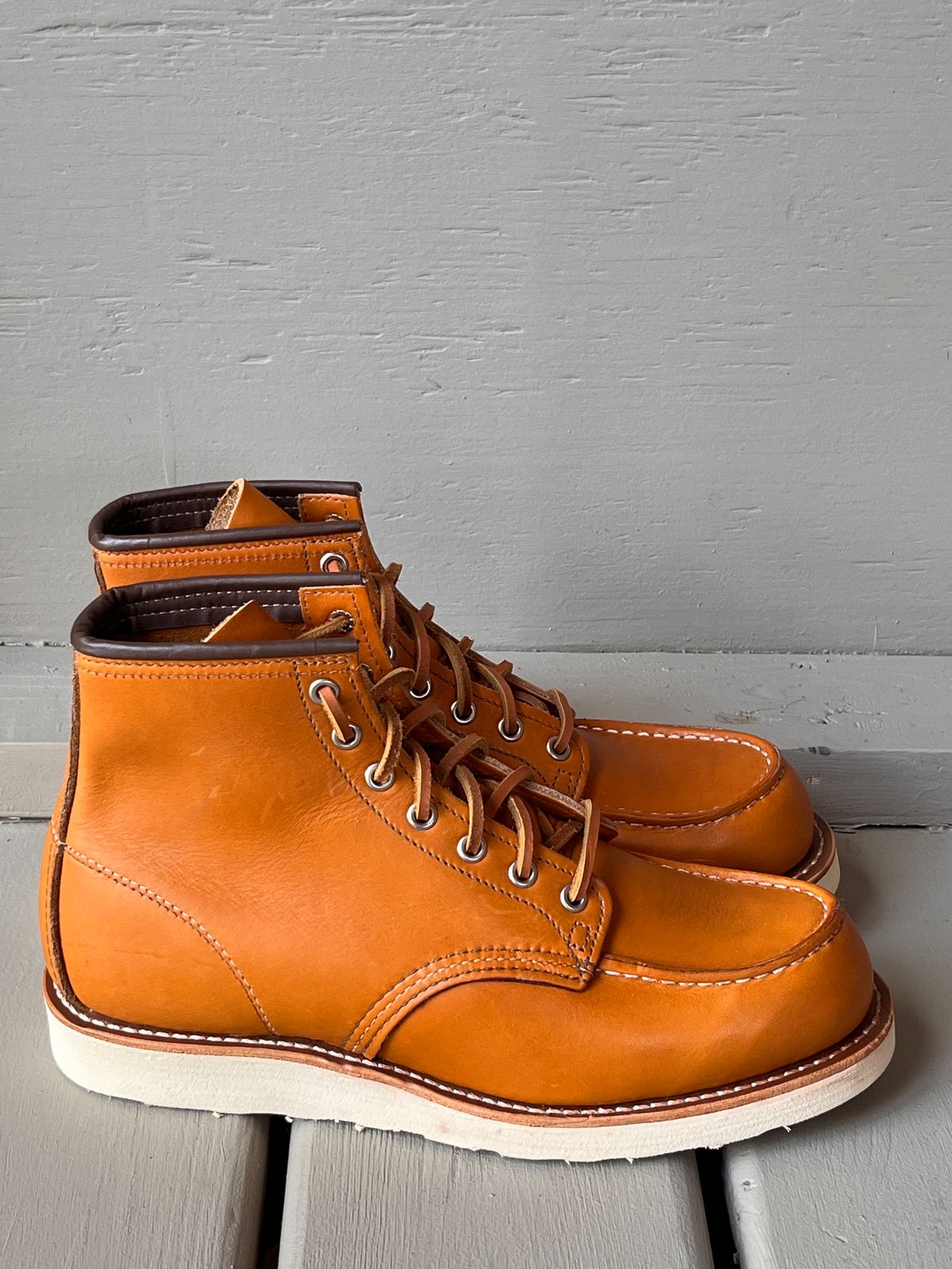 Photo by steverinde on October 7, 2023 of the Red Wing 6-Inch Classic Moc in S.B. Foot Sequoia Gold Russet.