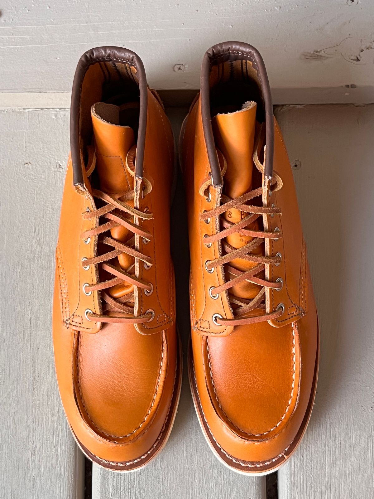 Photo by steverinde on October 7, 2023 of the Red Wing 6-Inch Classic Moc in S.B. Foot Sequoia Gold Russet.