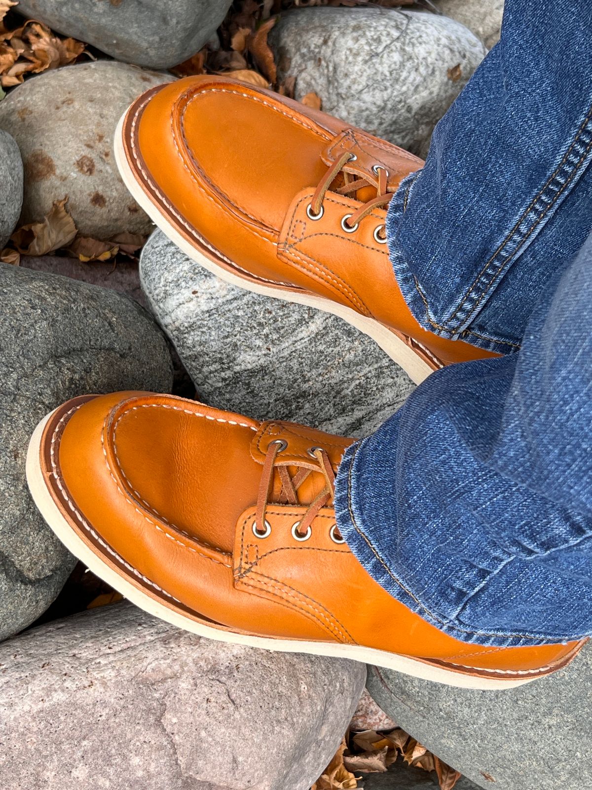 Photo by steverinde on October 7, 2023 of the Red Wing 6-Inch Classic Moc in S.B. Foot Sequoia Gold Russet.