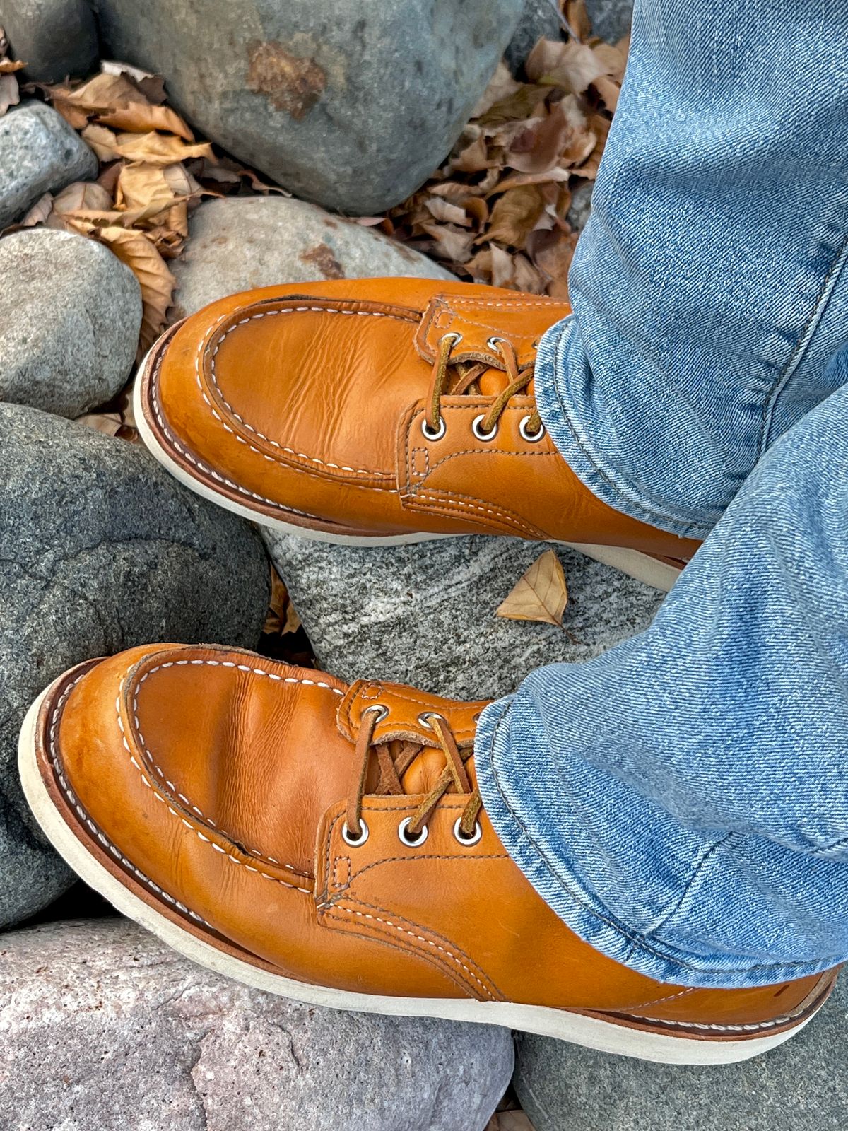 Photo by steverinde on November 3, 2023 of the Red Wing 6-Inch Classic Moc in S.B. Foot Sequoia Gold Russet.