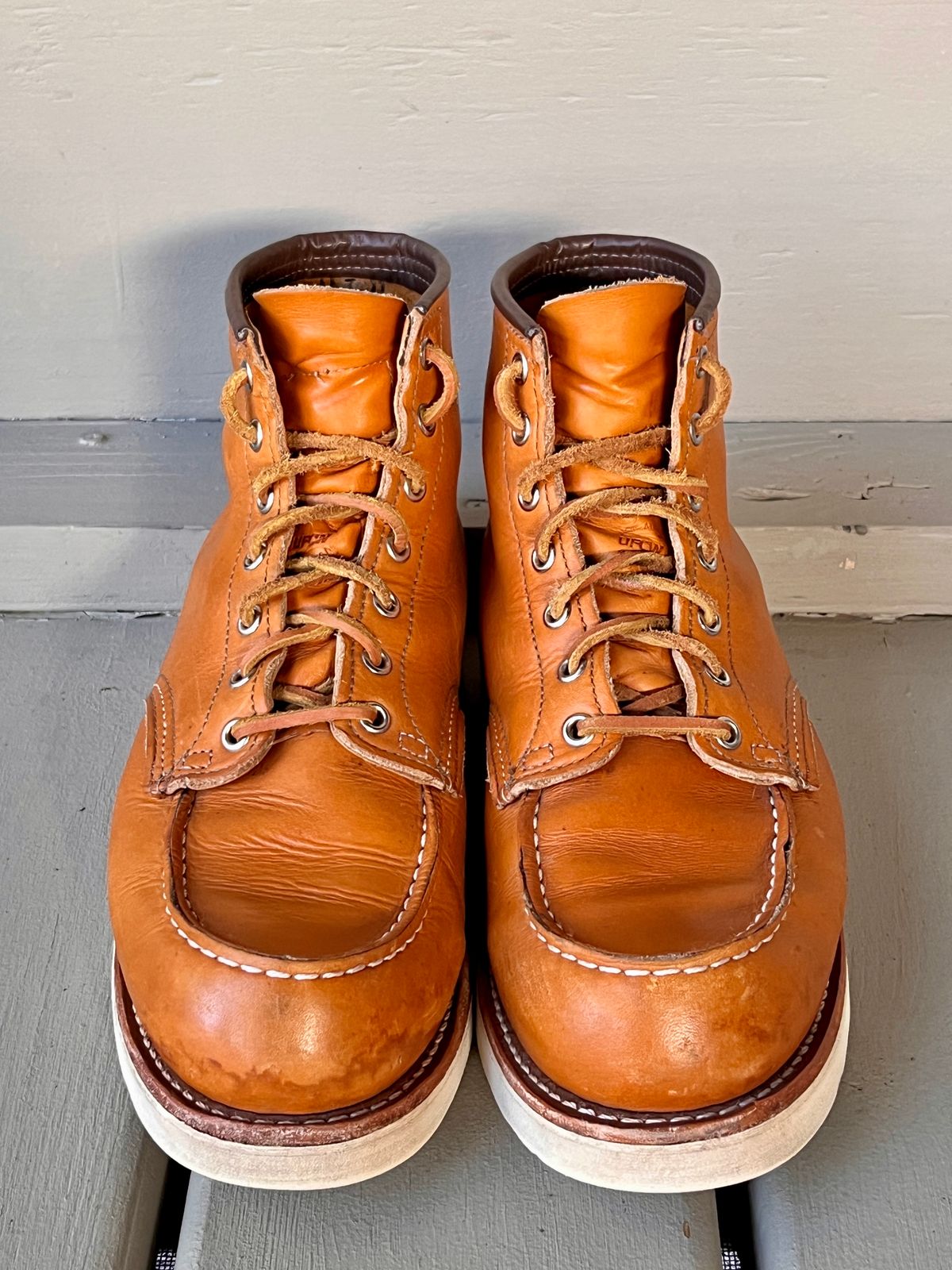 Photo by steverinde on November 3, 2023 of the Red Wing 6-Inch Classic Moc in S.B. Foot Sequoia Gold Russet.