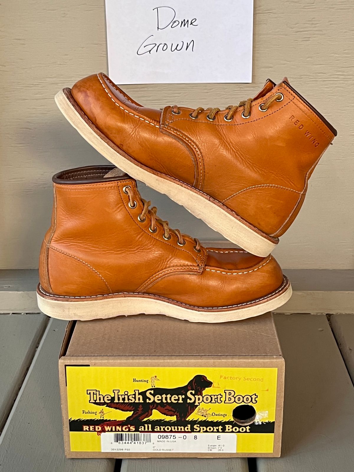 Photo by steverinde on November 3, 2023 of the Red Wing 6-Inch Classic Moc in S.B. Foot Sequoia Gold Russet.