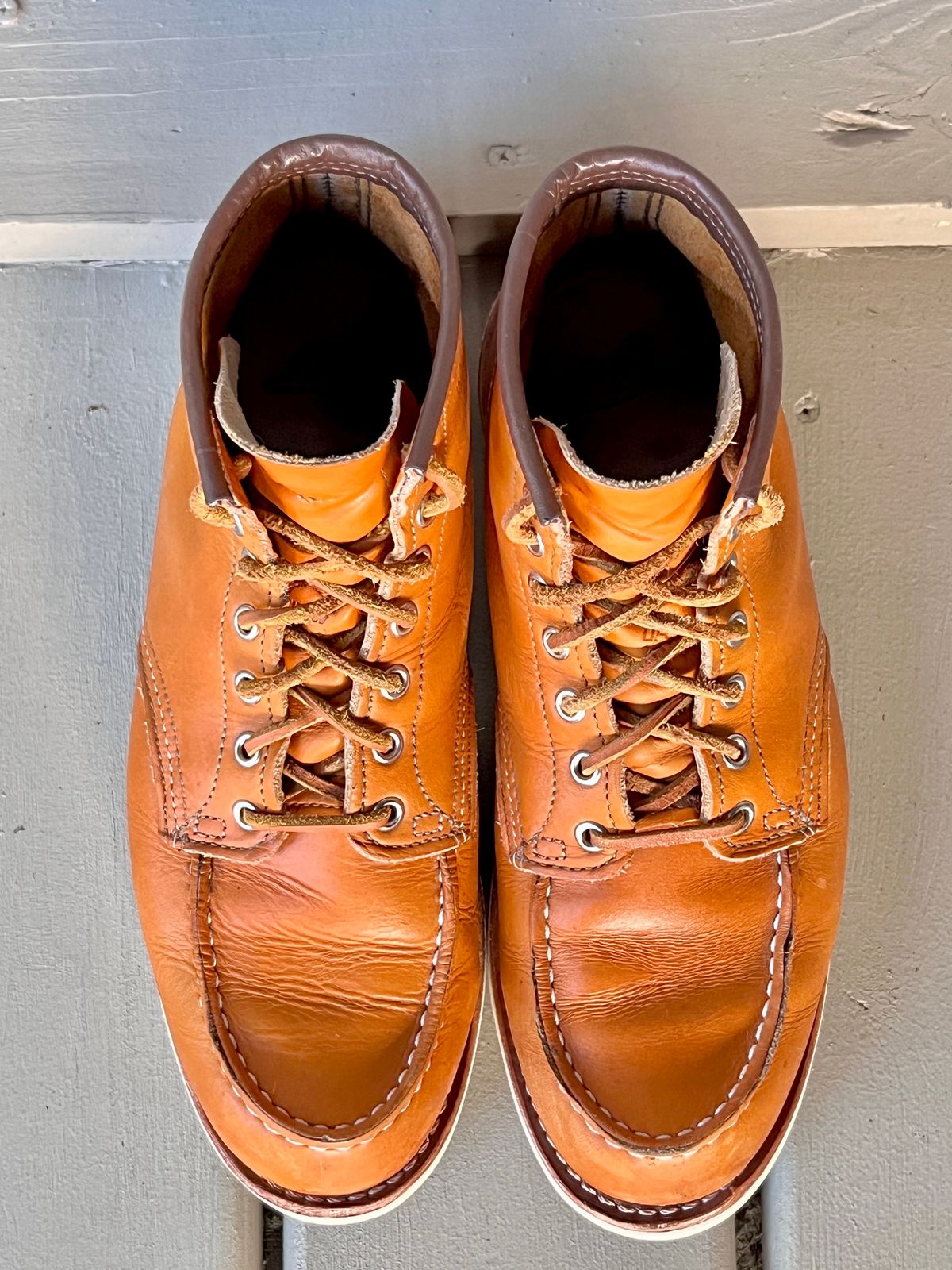 Photo by steverinde on November 3, 2023 of the Red Wing 6-Inch Classic Moc in S.B. Foot Sequoia Gold Russet.