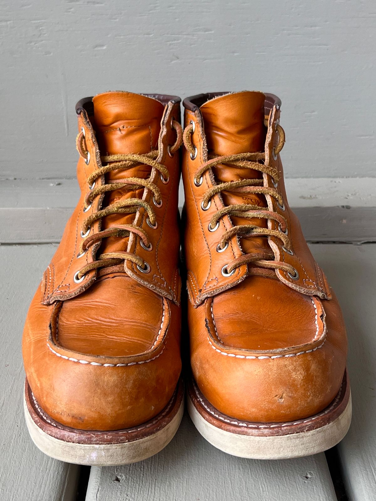 Photo by steverinde on December 6, 2023 of the Red Wing 6-Inch Classic Moc in S.B. Foot Sequoia Gold Russet.