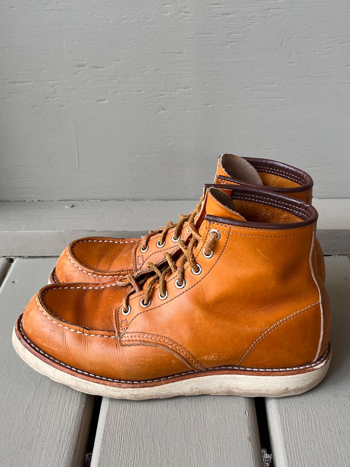 Photo by steverinde on December 6, 2023 of the Red Wing 6-Inch Classic Moc in S.B. Foot Sequoia Gold Russet.