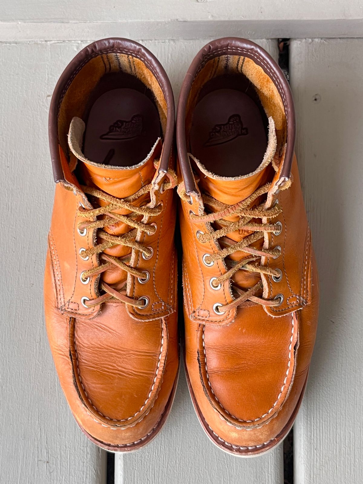 Photo by steverinde on December 6, 2023 of the Red Wing 6-Inch Classic Moc in S.B. Foot Sequoia Gold Russet.