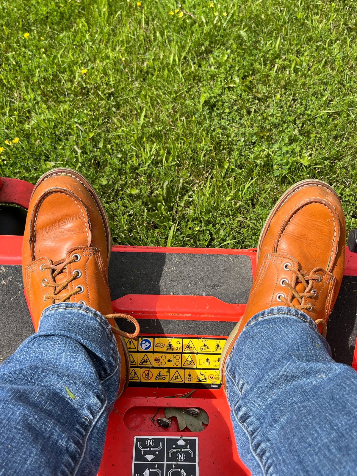 Photo by steverinde on August 9, 2024 of the Red Wing 6-Inch Classic Moc in S.B. Foot Sequoia Gold Russet.