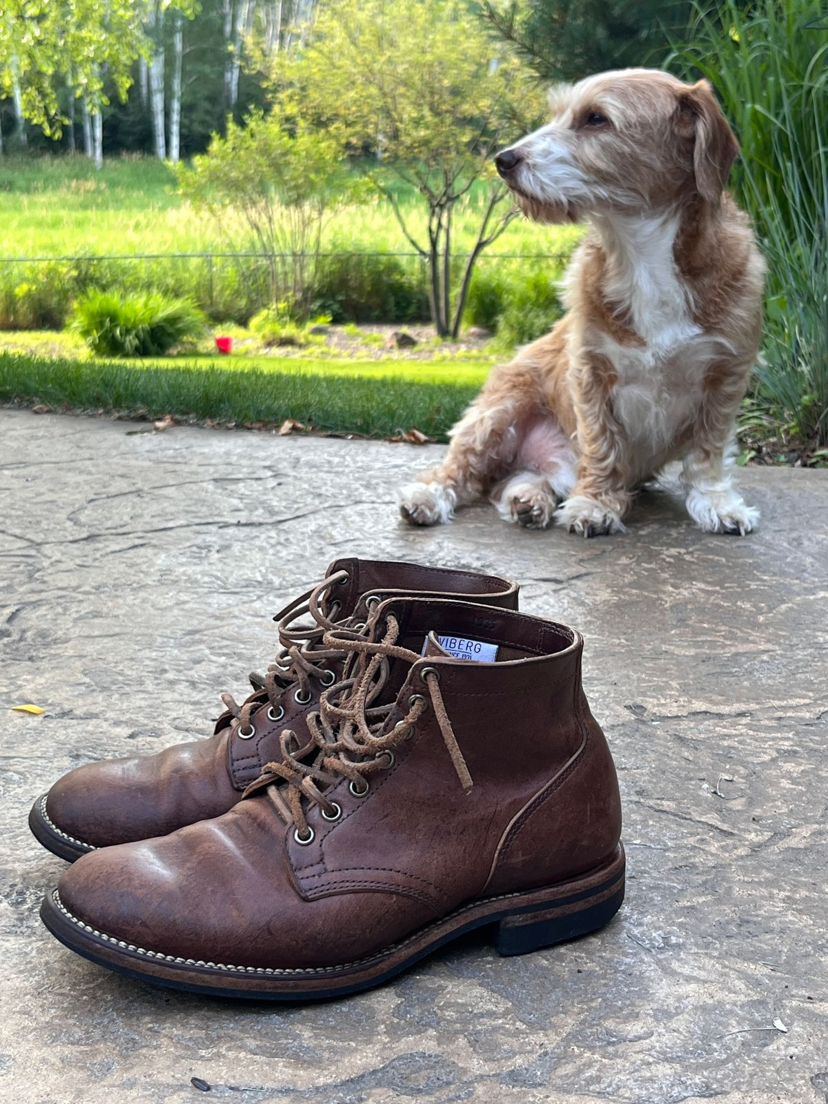 Photo by steverinde on July 3, 2025 of the Viberg Service Boot in Maryam Toscanello Horsebutt.