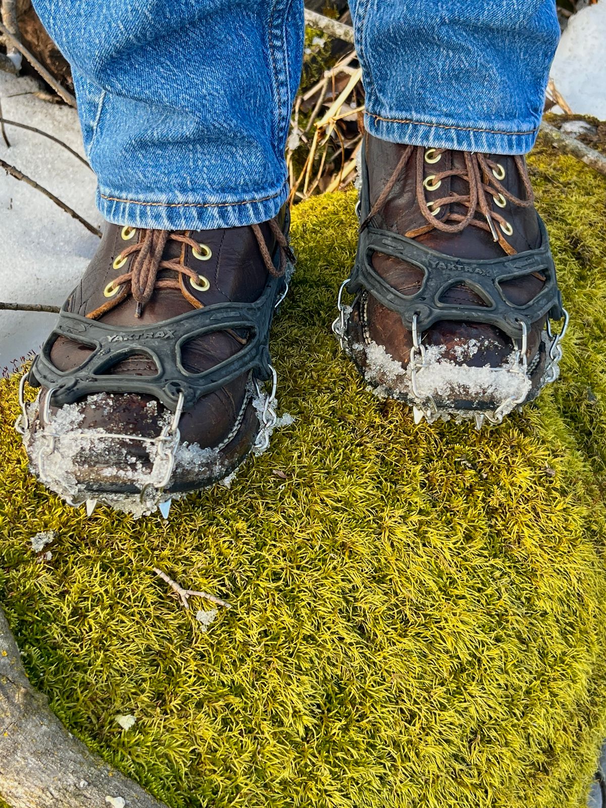 Photo by steverinde on February 14, 2026 of the Viberg Service Boot PCT in Horween Natural Bison.