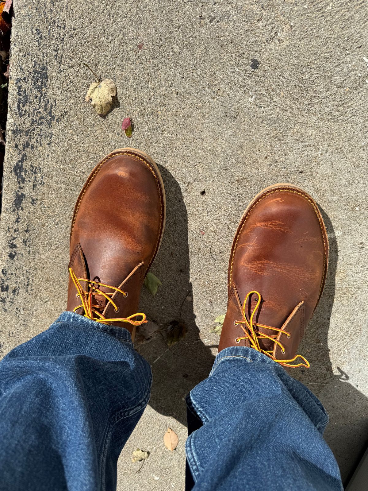 Photo by Timm on October 9, 2025 of the Red Wing Weekender Chukka in Red Wing Copper Rough And Tough.
