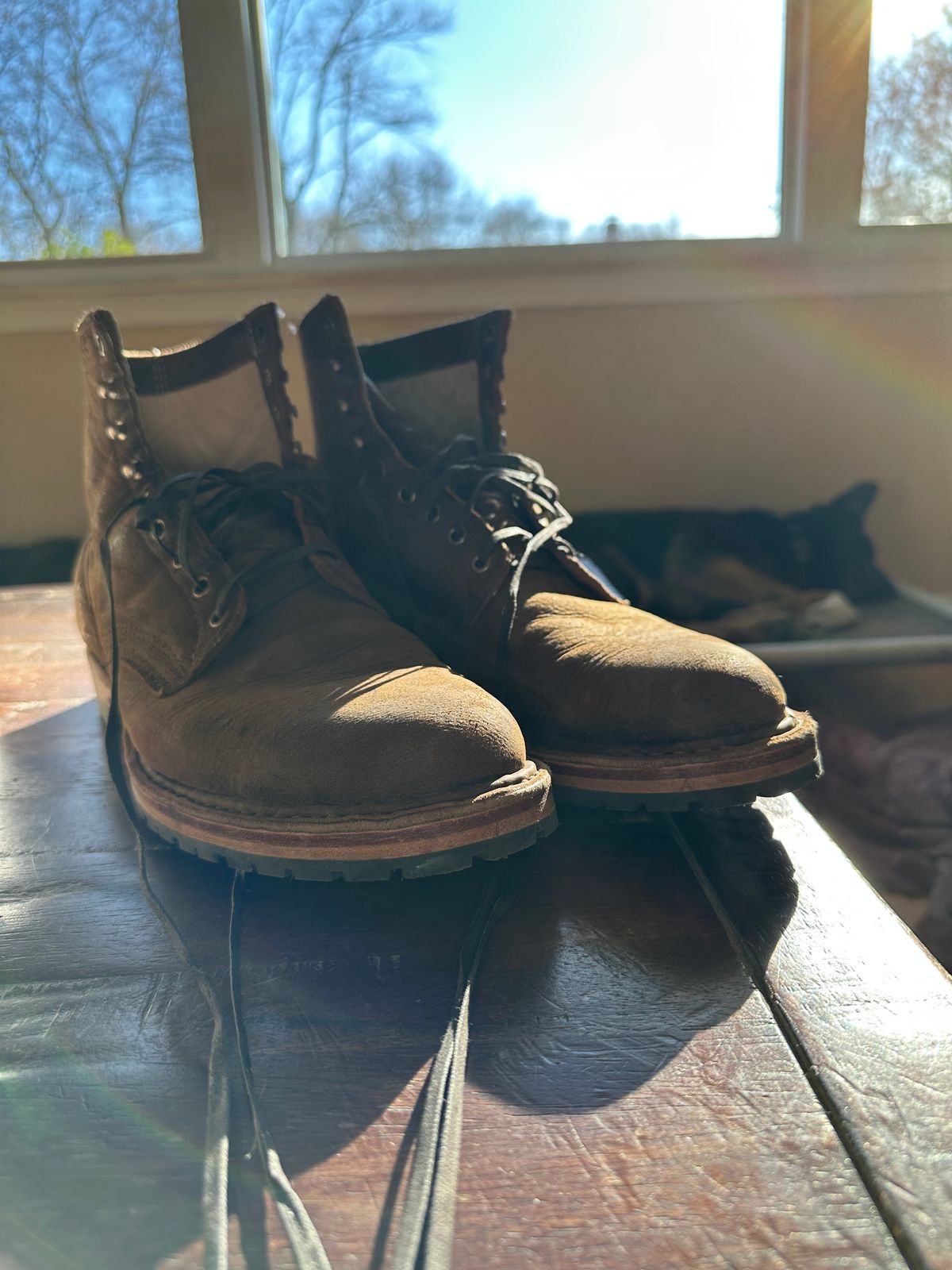 Photo by Timm on November 17, 2024 of the White's MP-Sherman Plain Toe in Urban Brown Naked Kudu.