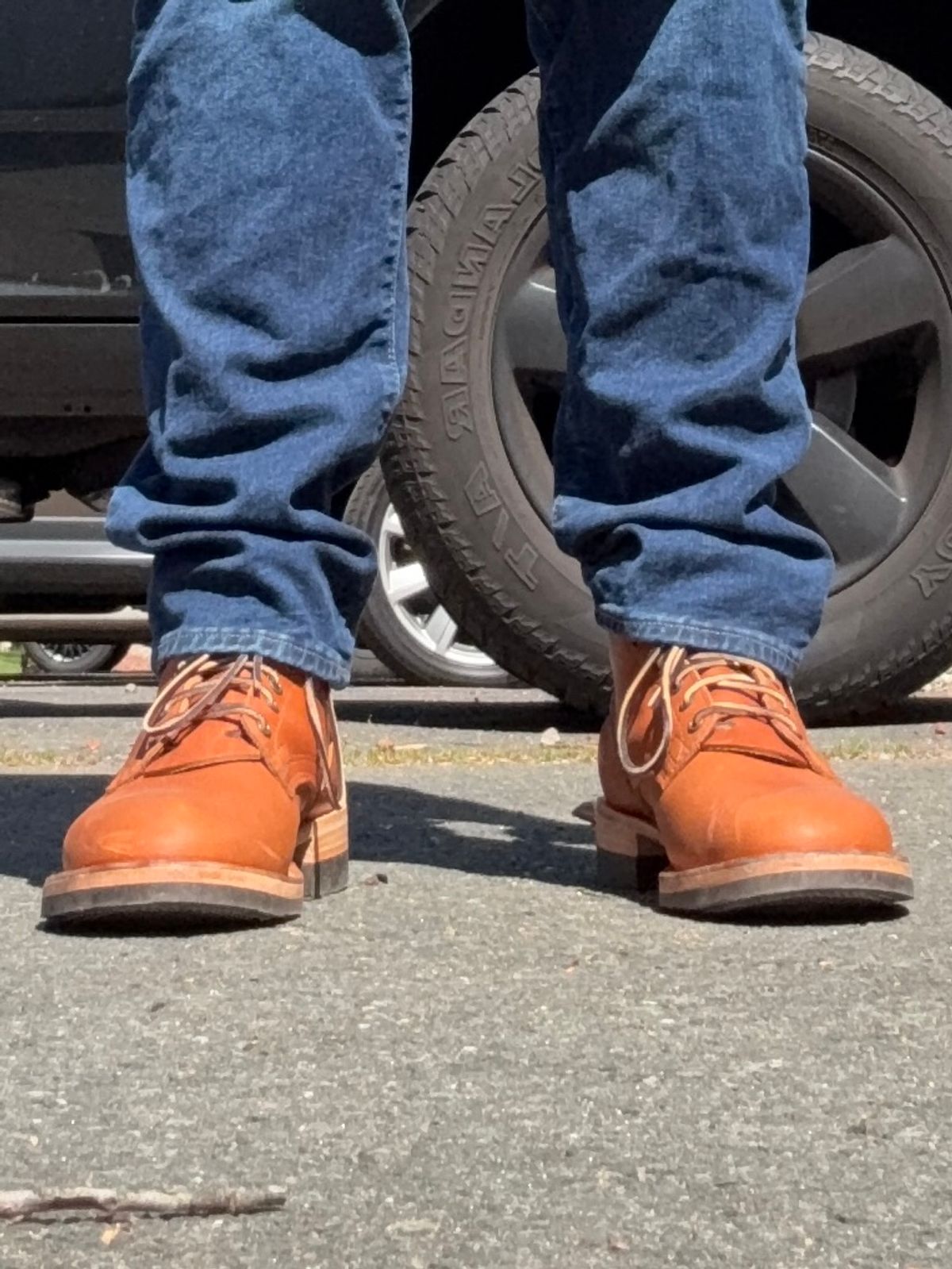 Photo by Timm on April 29, 2026 of the Nicks MTO in Trailblazer Tobacco.