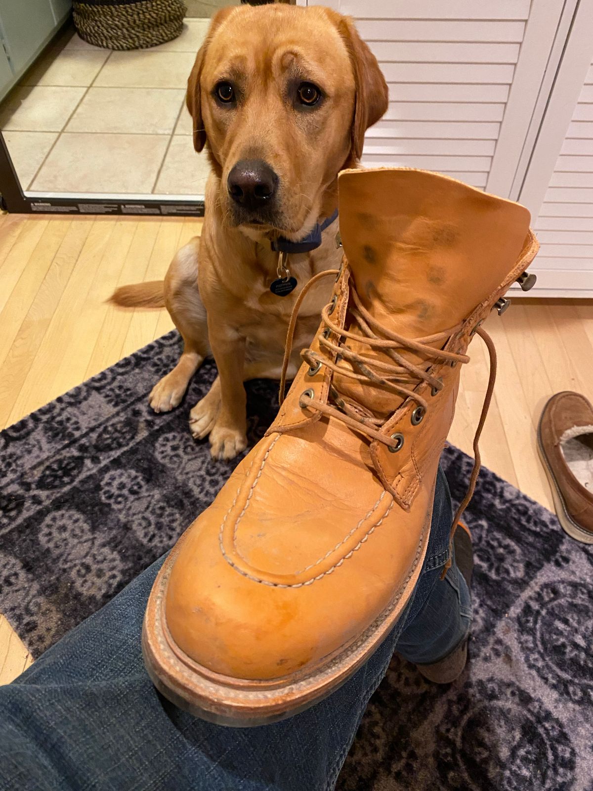Photo by onthedogwatch on October 16, 2022 of the Grant Stone Brass Boot in Horween Natural Essex.